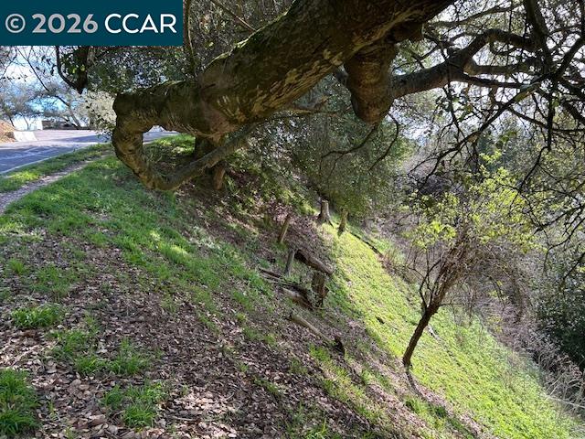 6201 Skyline Blvd, Oakland CA 94611 — photo 10