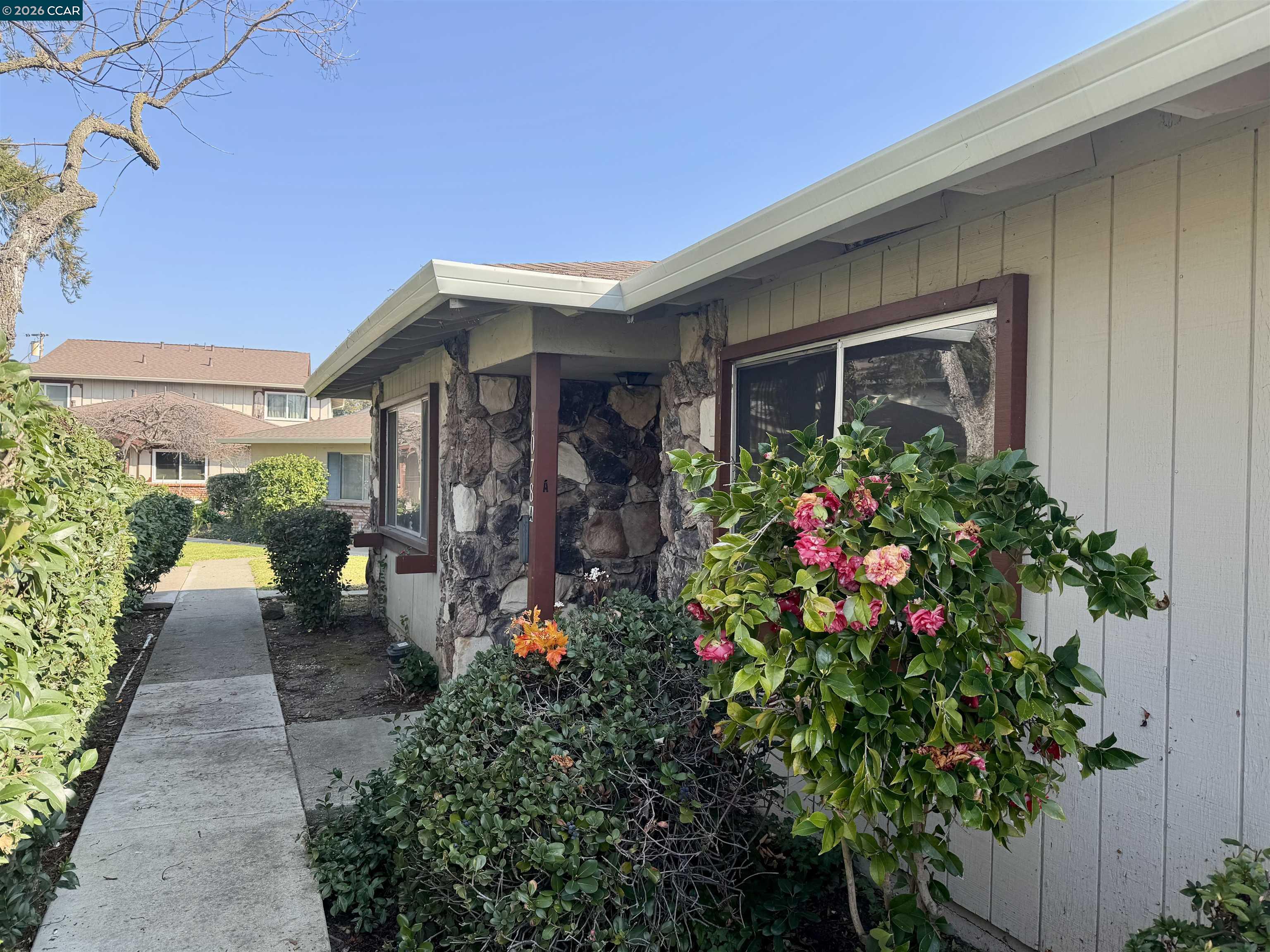 Photo #1: 41123240 Listing: Photo #1