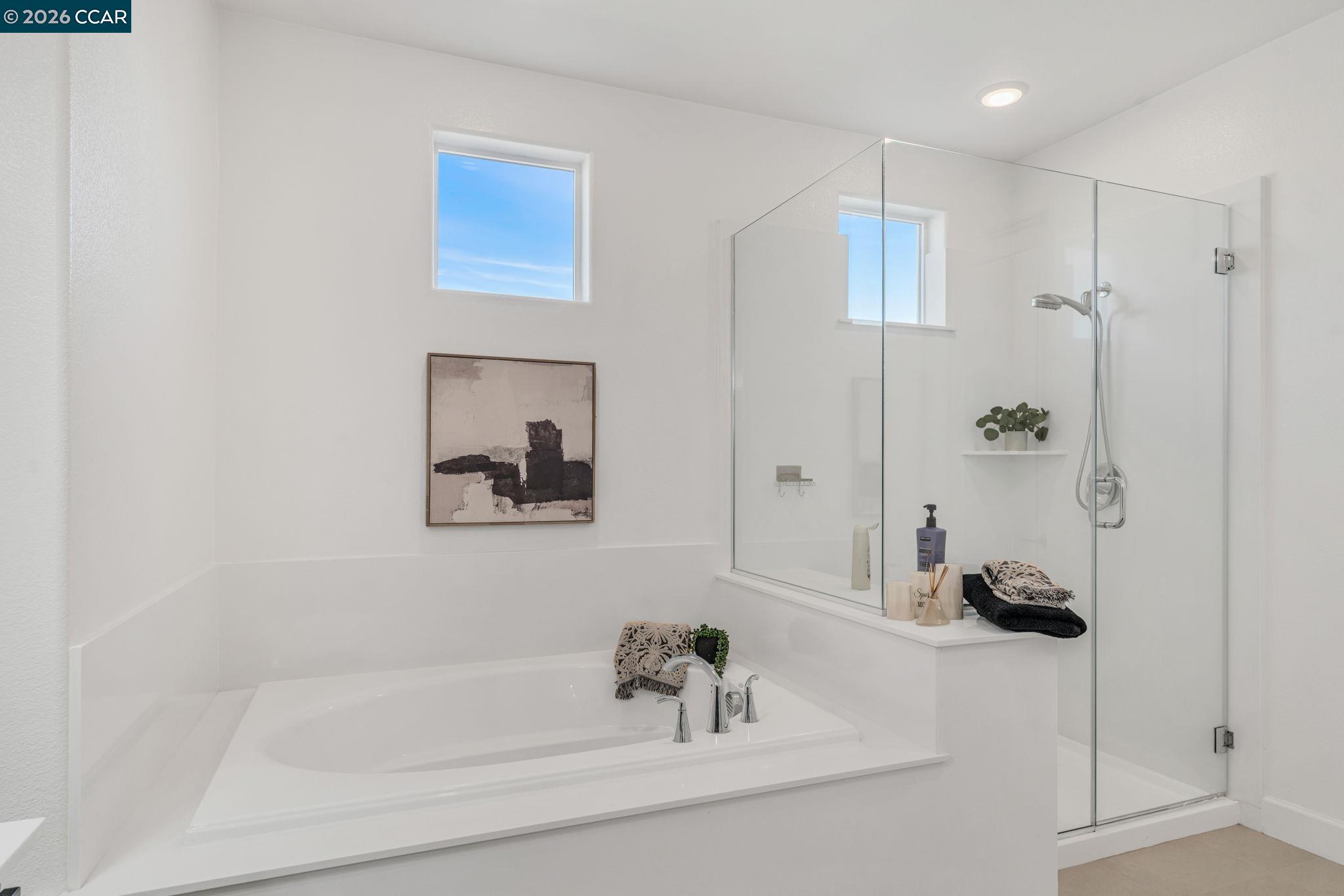 Detail Gallery Image 35 of 52 For 1553 S Perkins Place, Mountain House,  CA 95391-8222 - 4 Beds | 3/1 Baths