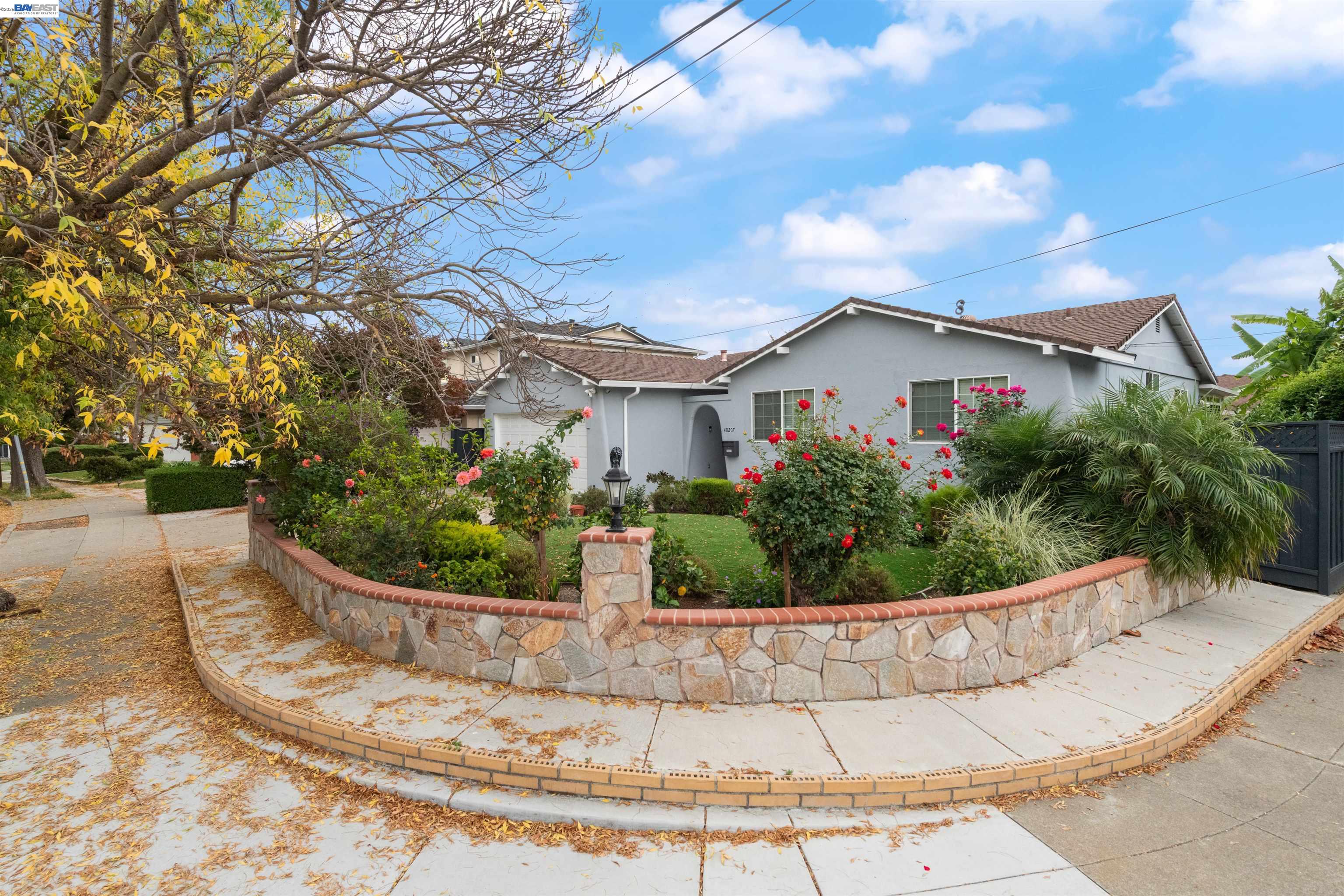 Front Image Thumbnail for BE41123245