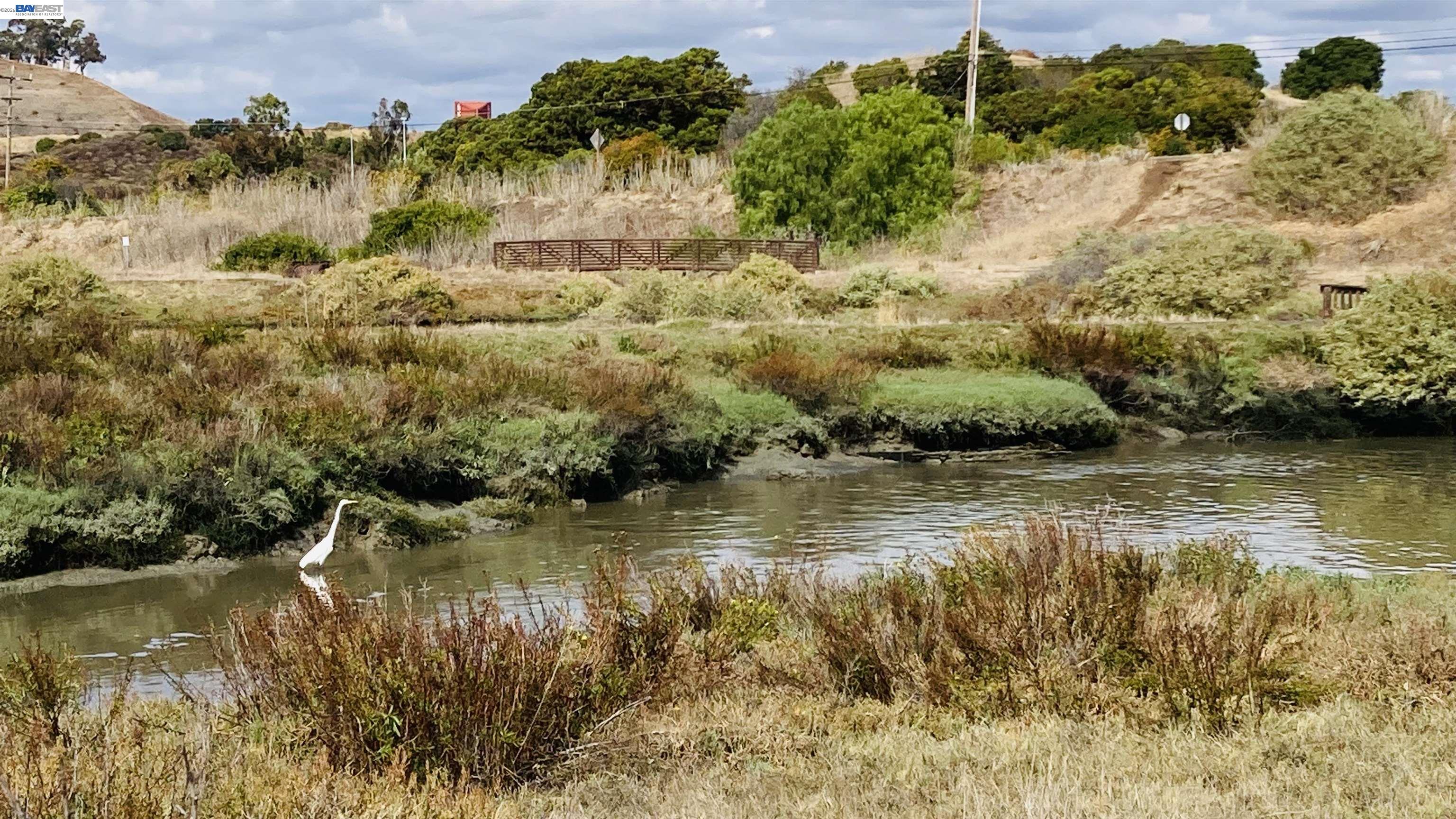 Detail Gallery Image 59 of 59 For 37221 Salt Pond Pl, Newark,  CA 94560 - 4 Beds | 4 Baths