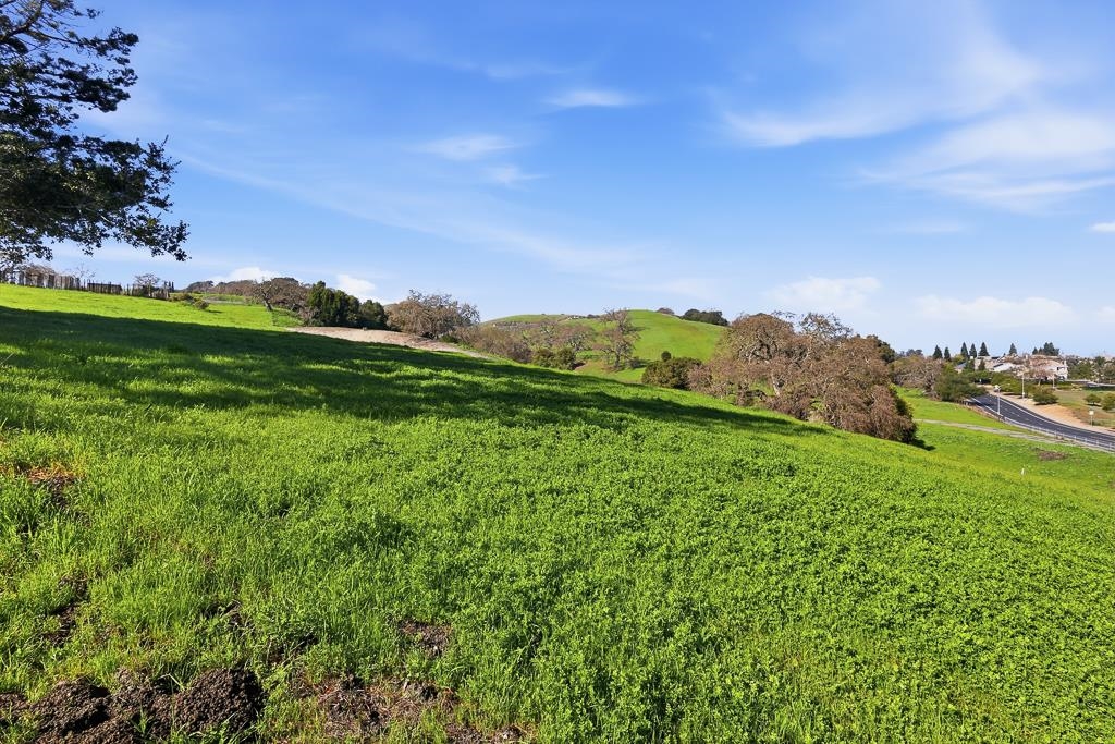 Detail Gallery Image 57 of 60 For 11868 Bloomington Way, Dublin,  CA 94568 - 5 Beds | 2/1 Baths