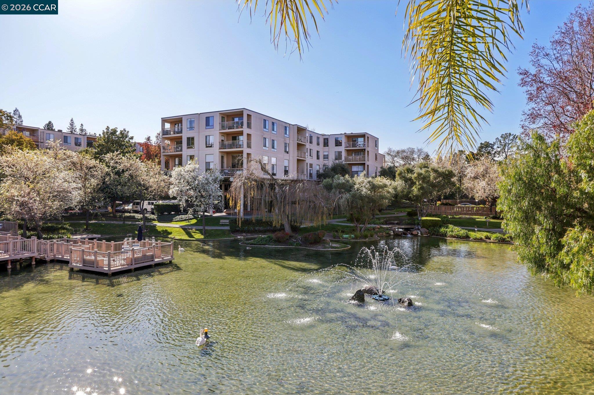 Photo #32: 41123271 Listing: Photo #32