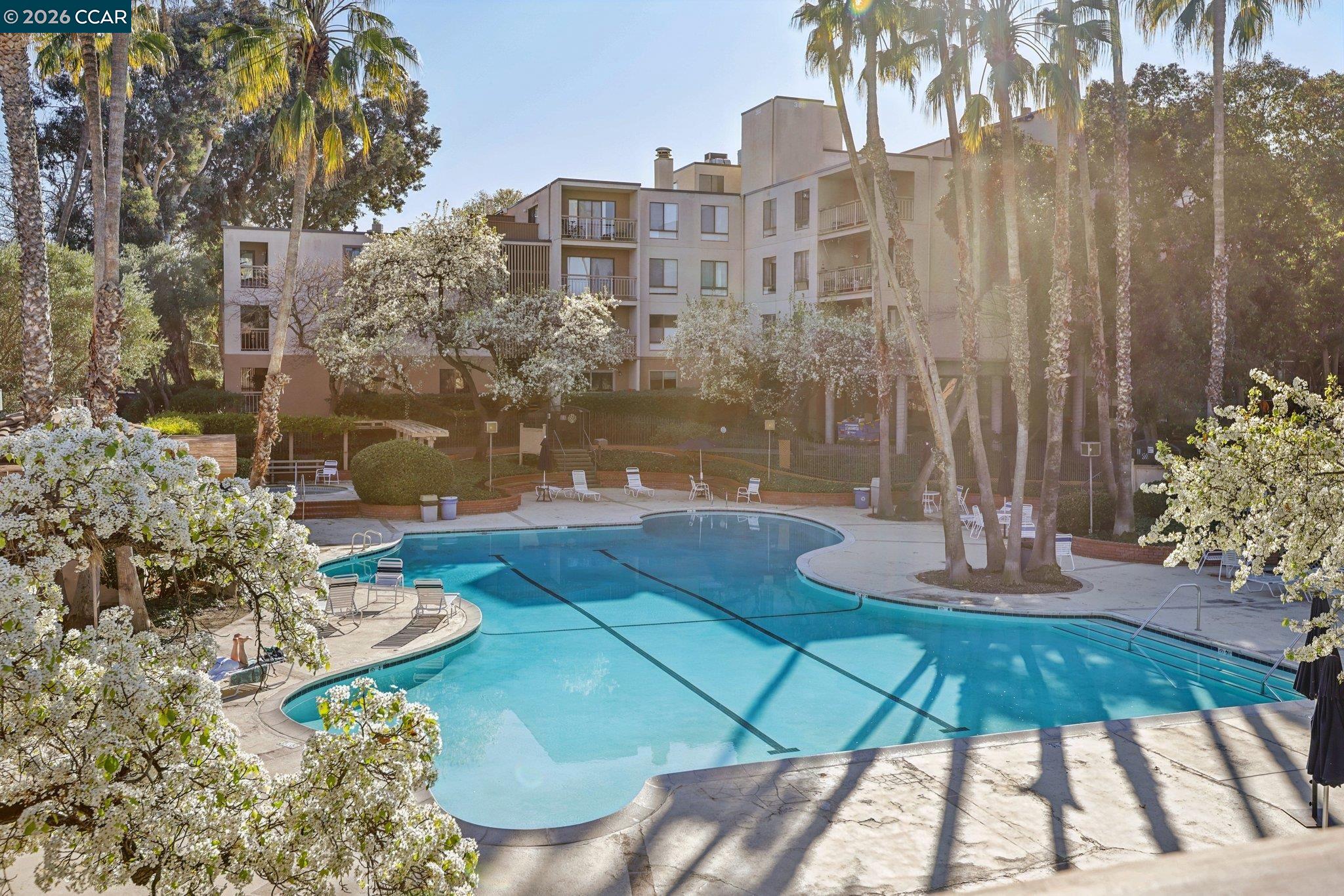 Photo #33: 41123271 Listing: Photo #33