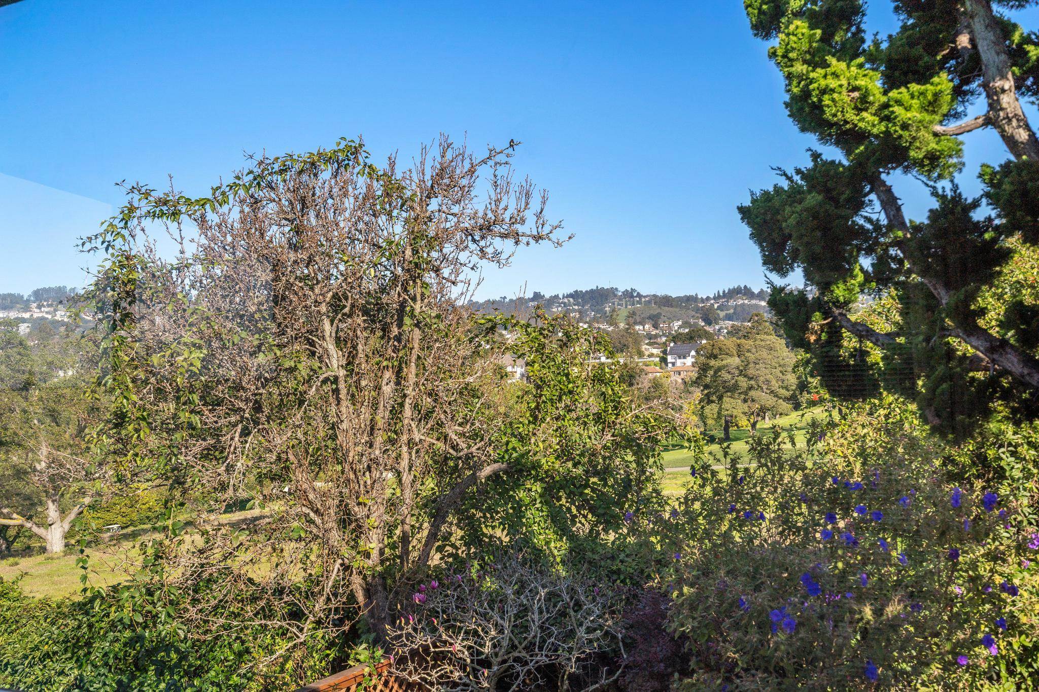 Detail Gallery Image 26 of 49 For 5460 Carlton St, Oakland,  CA 94618 - 3 Beds | 2/1 Baths