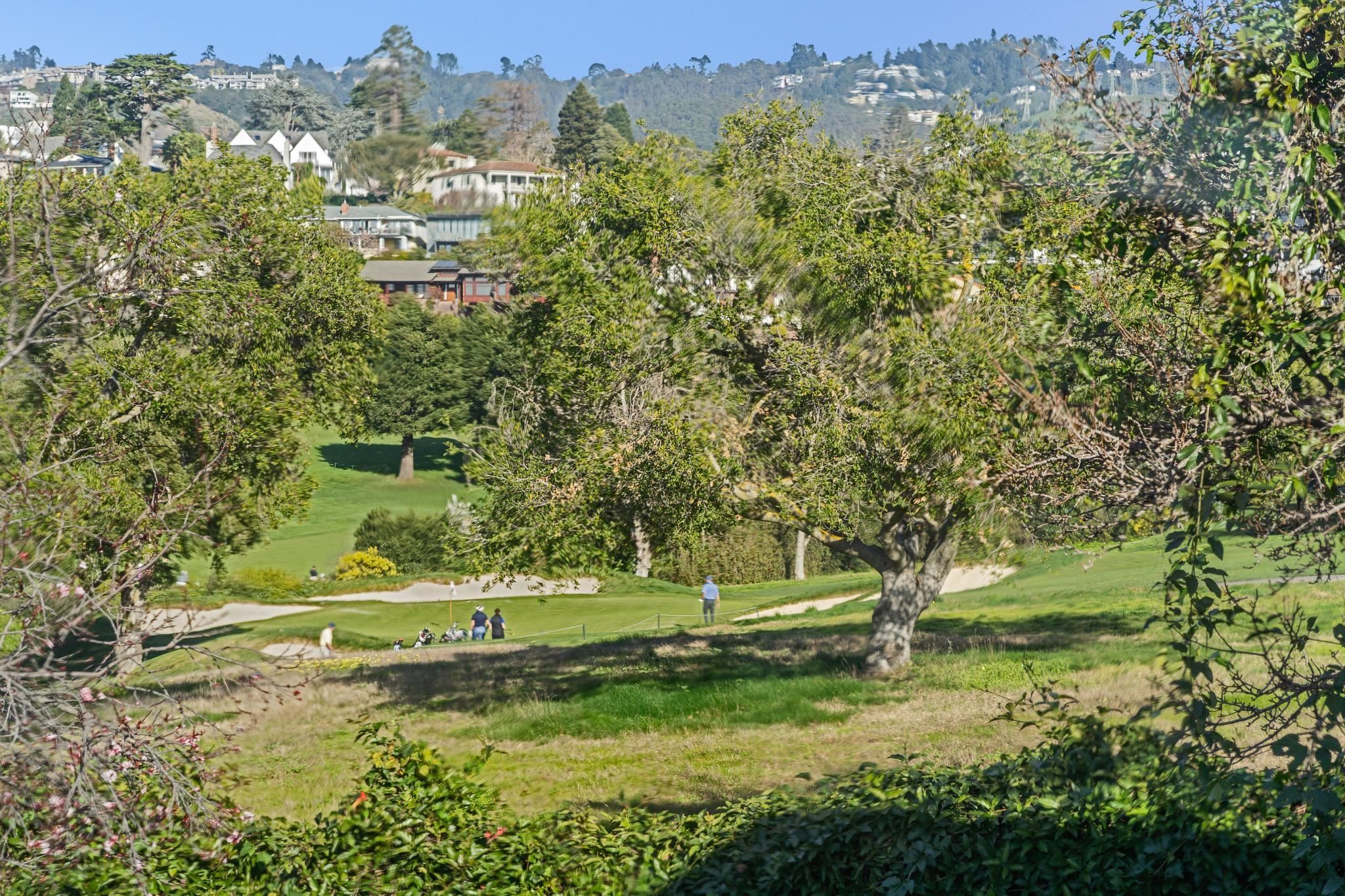 Detail Gallery Image 30 of 49 For 5460 Carlton St, Oakland,  CA 94618 - 3 Beds | 2/1 Baths