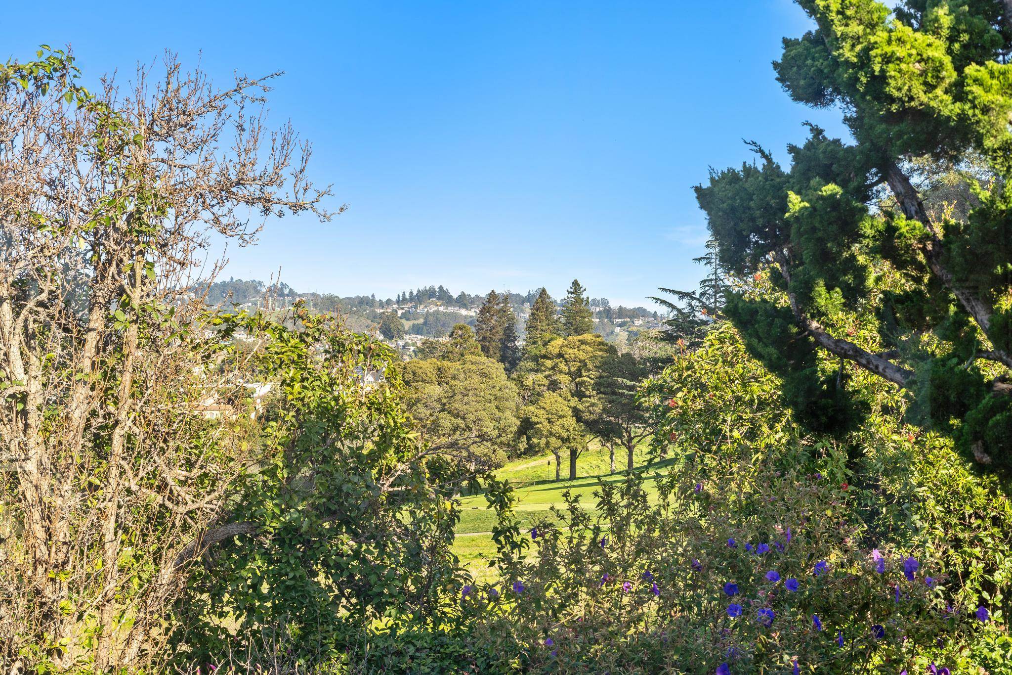 Detail Gallery Image 42 of 49 For 5460 Carlton St, Oakland,  CA 94618 - 3 Beds | 2/1 Baths