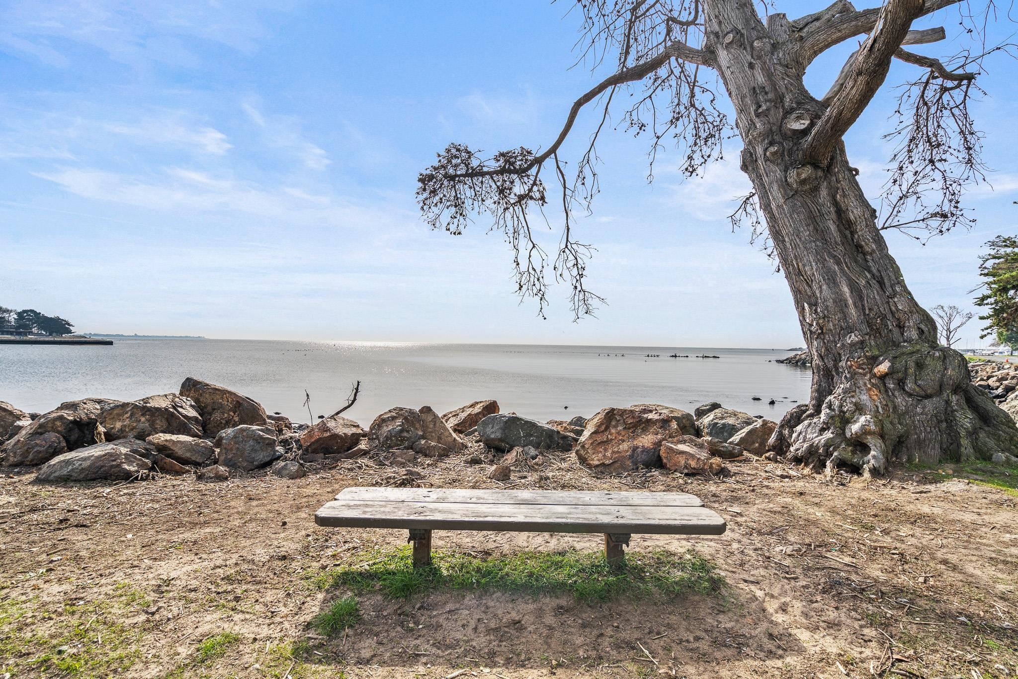 Photo #31: 41123275 Listing: Photo #31