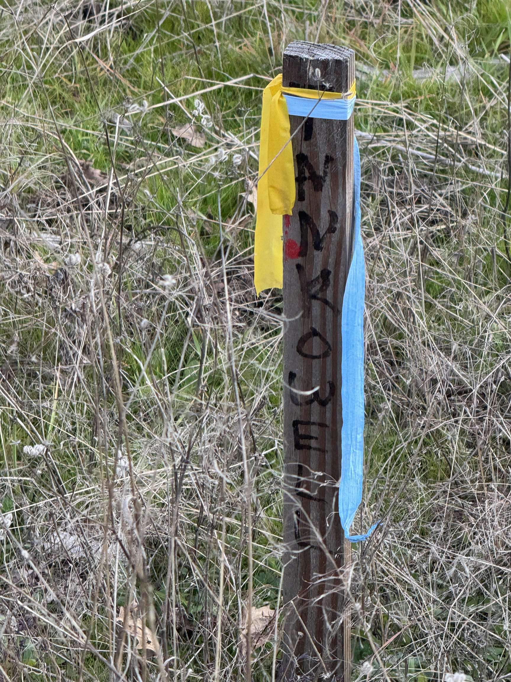 Detail Gallery Image 26 of 28 For 6422 Dogtown Rd., –,  CA 95311 - – Beds | – Baths