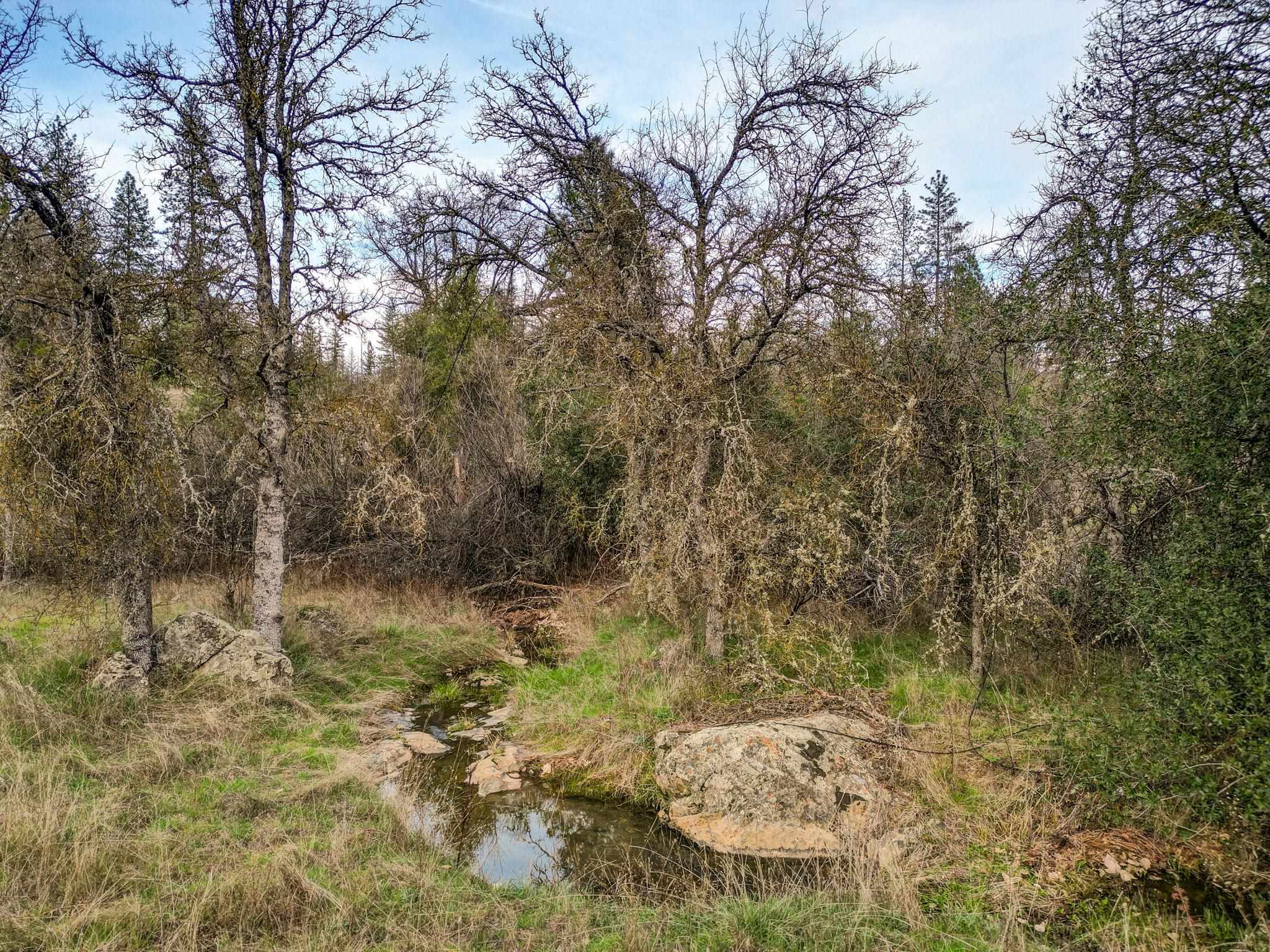 Detail Gallery Image 8 of 28 For 6422 Dogtown Rd., –,  CA 95311 - – Beds | – Baths