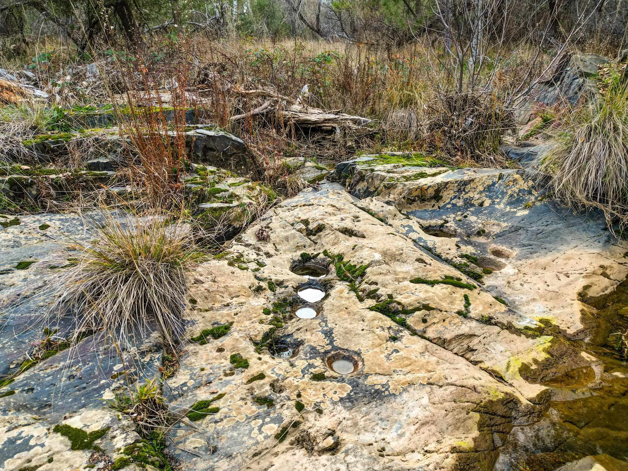 Detail Gallery Image 10 of 28 For 6422 Dogtown Rd., –,  CA 95311 - – Beds | – Baths