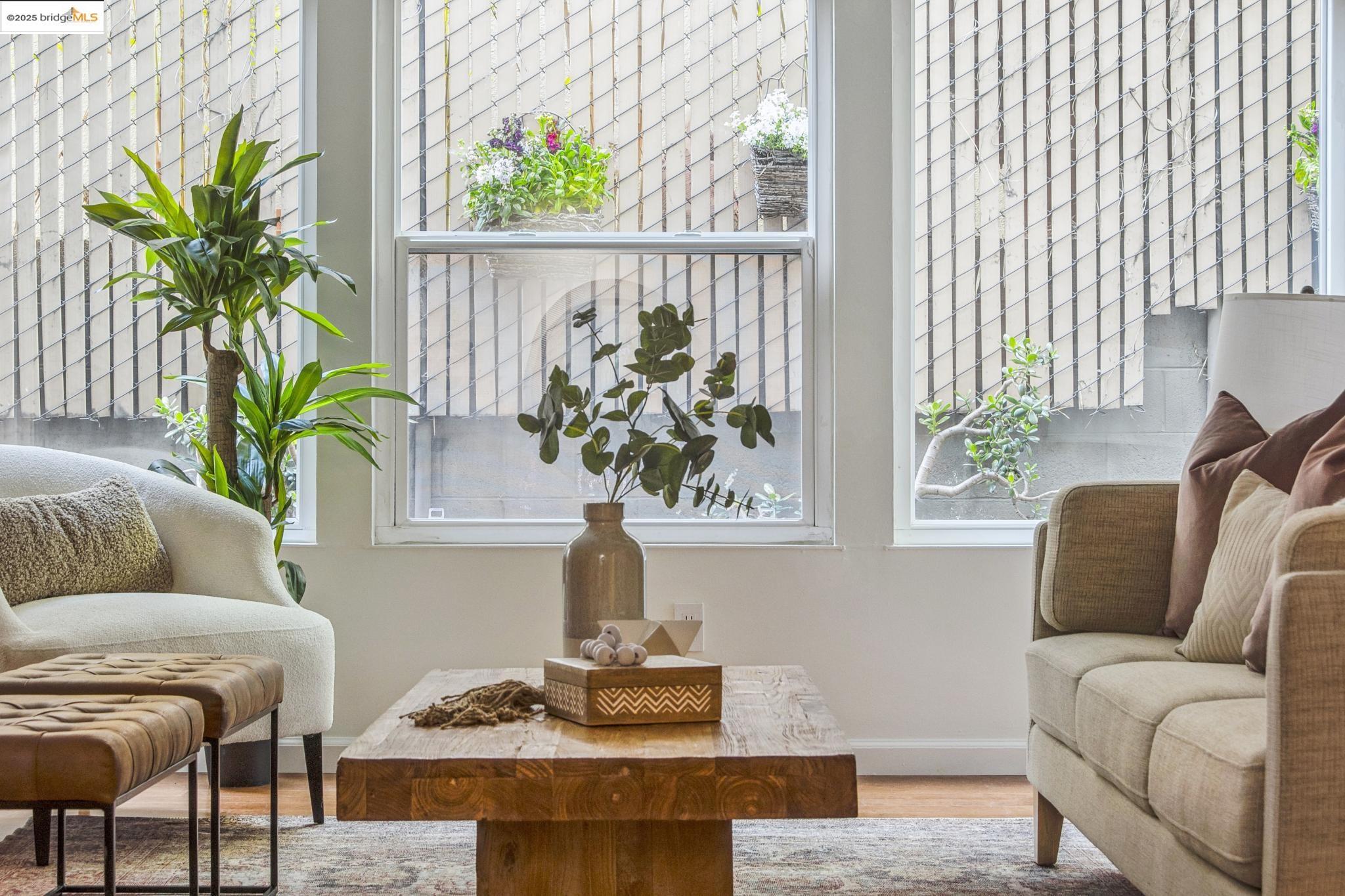 Photo #1: 41123291 Listing: Photo #1