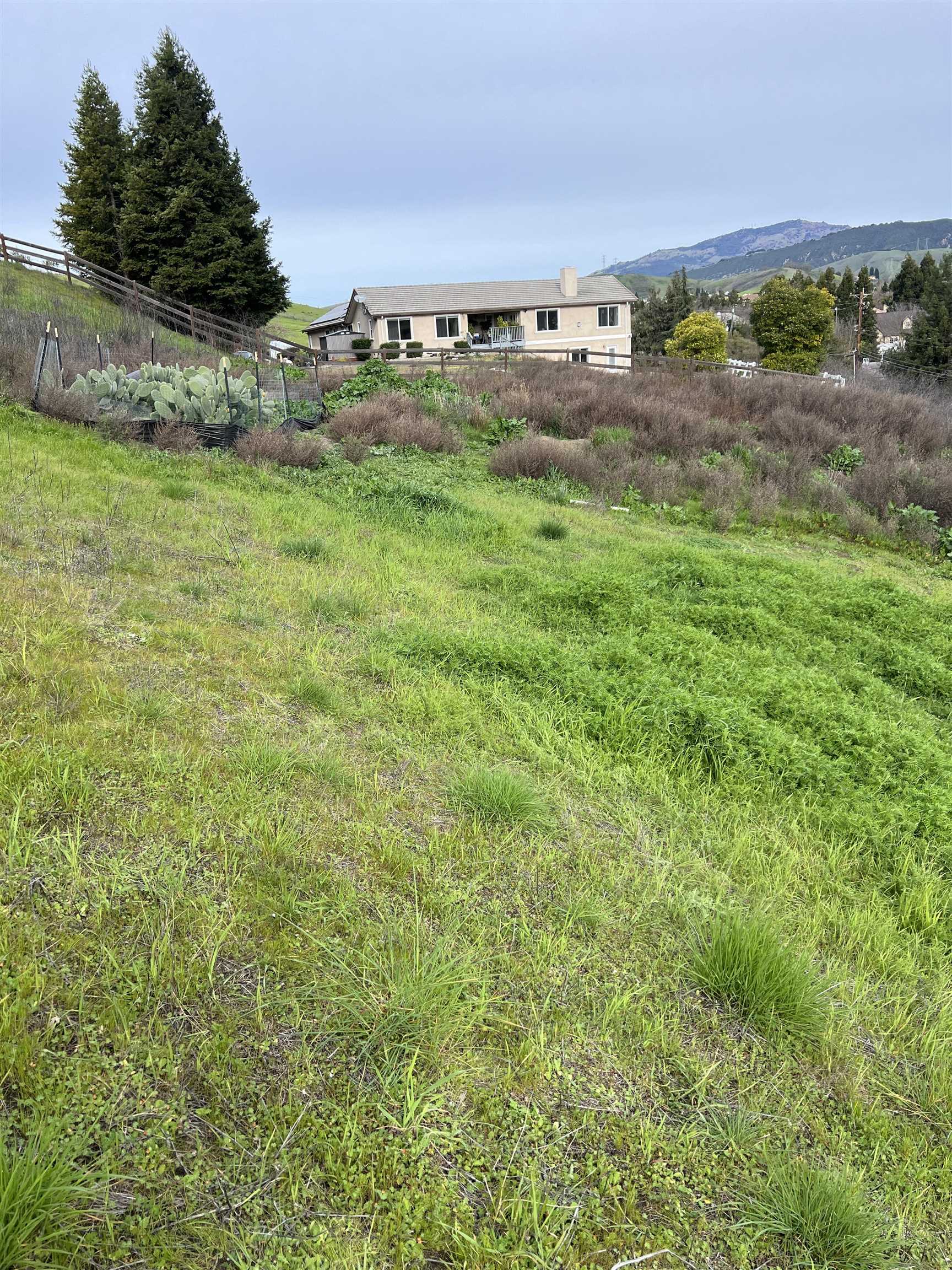 Detail Gallery Image 10 of 11 For 1388 Lawrence Rd, Danville,  CA 94506-4730 - – Beds | – Baths