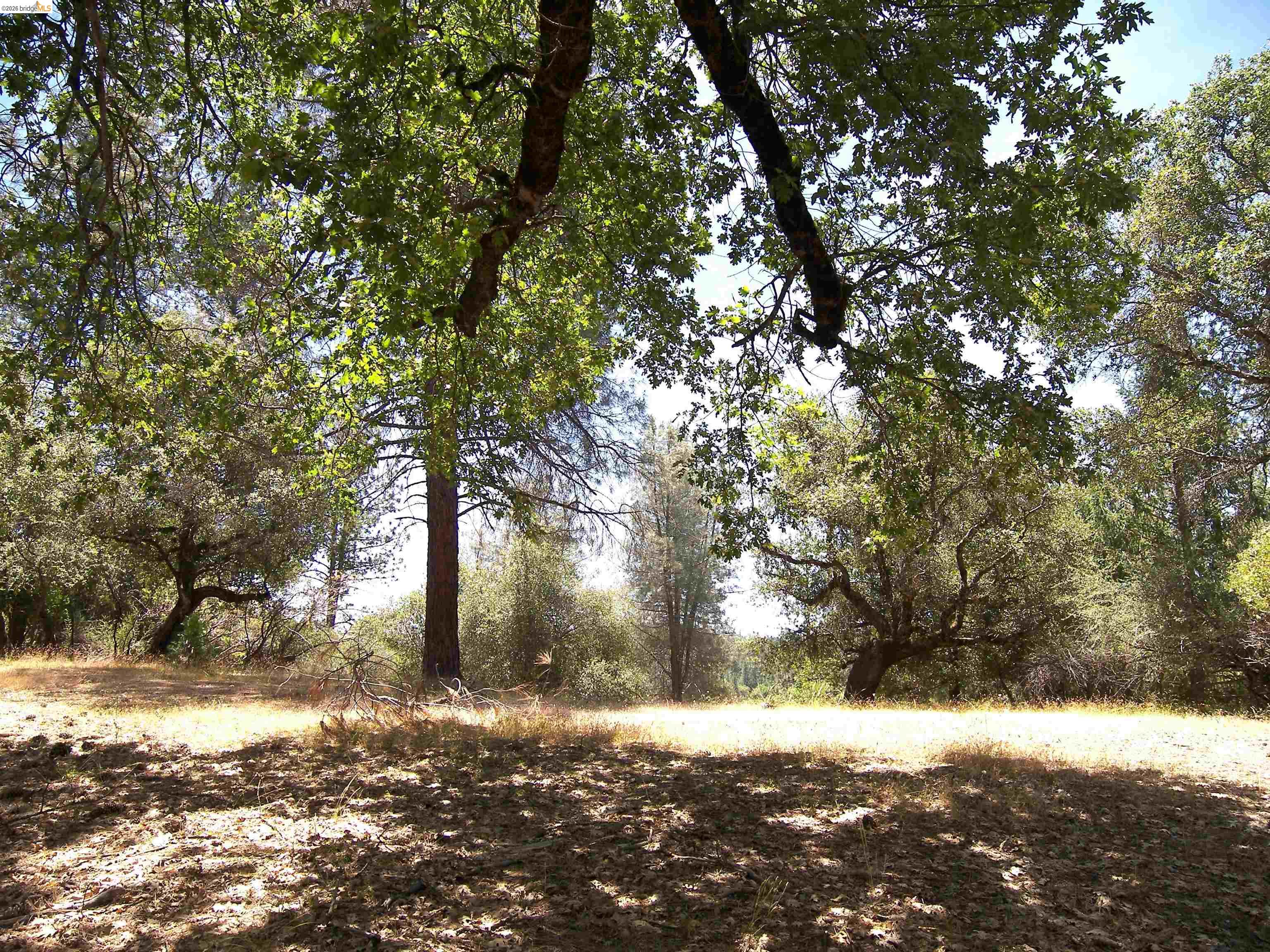 Front Image Thumbnail for EB41123305