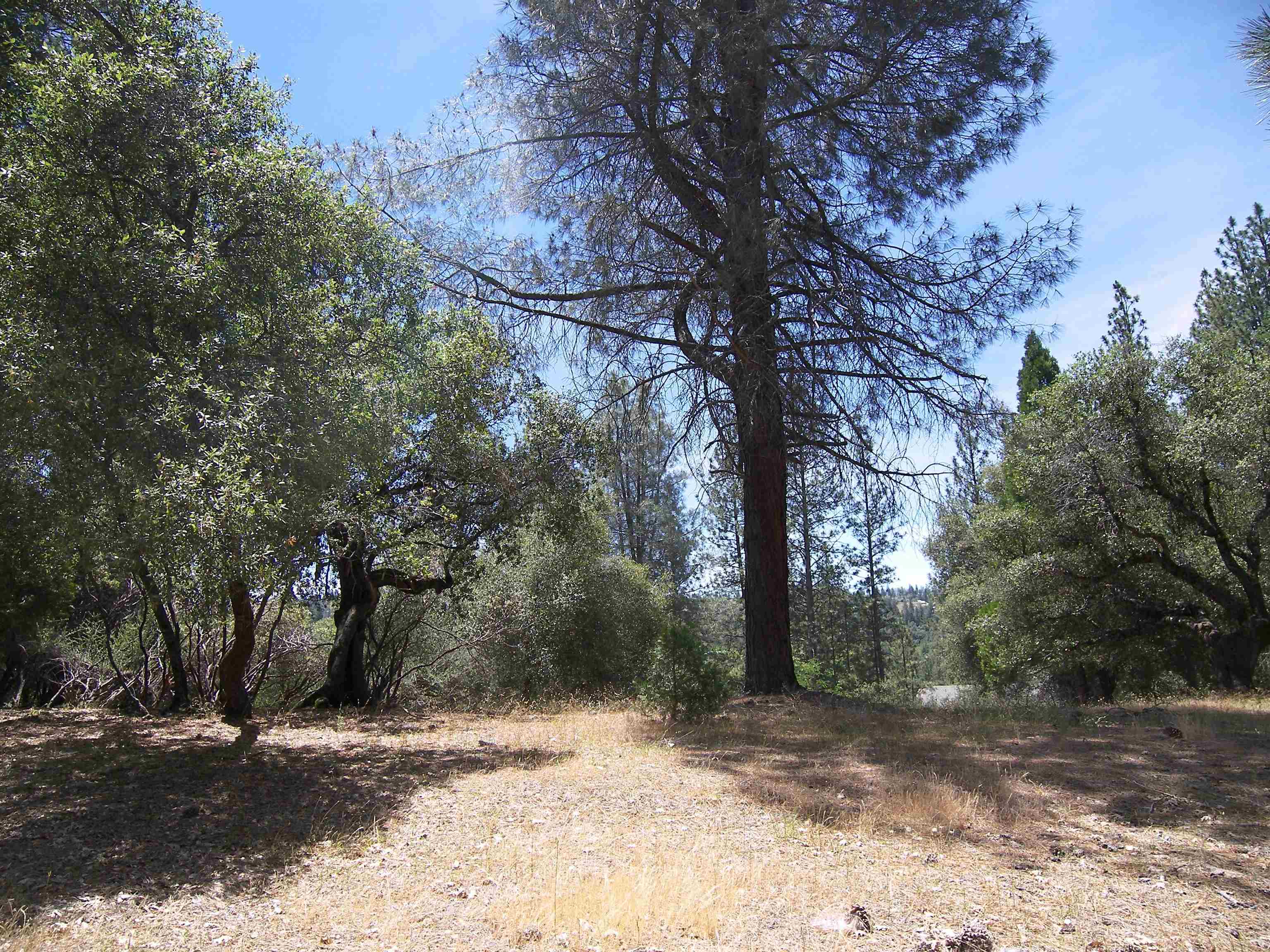 Detail Gallery Image 3 of 11 For Point View Dr., Groveland,  CA 95321 - – Beds | – Baths