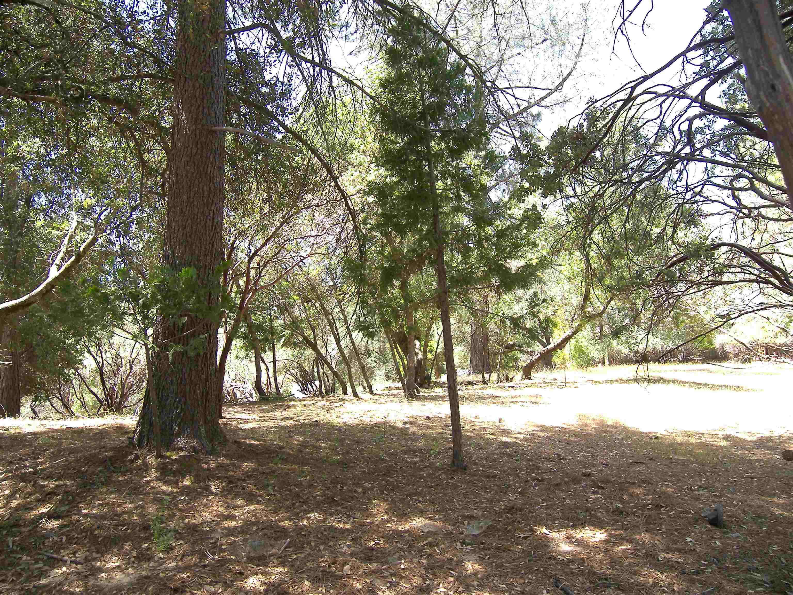 Detail Gallery Image 5 of 11 For Point View Dr., Groveland,  CA 95321 - – Beds | – Baths