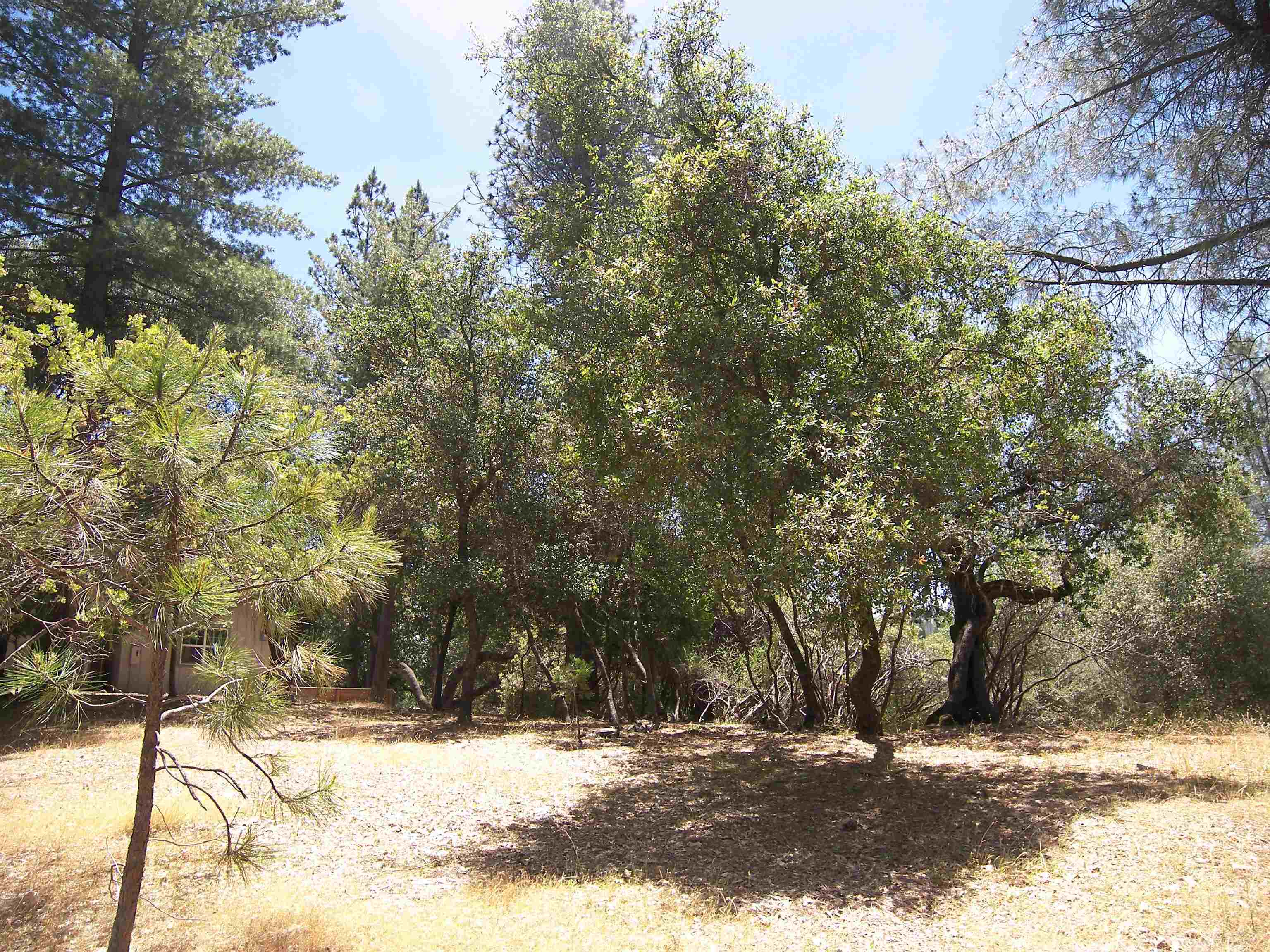 Detail Gallery Image 7 of 11 For Point View Dr., Groveland,  CA 95321 - – Beds | – Baths