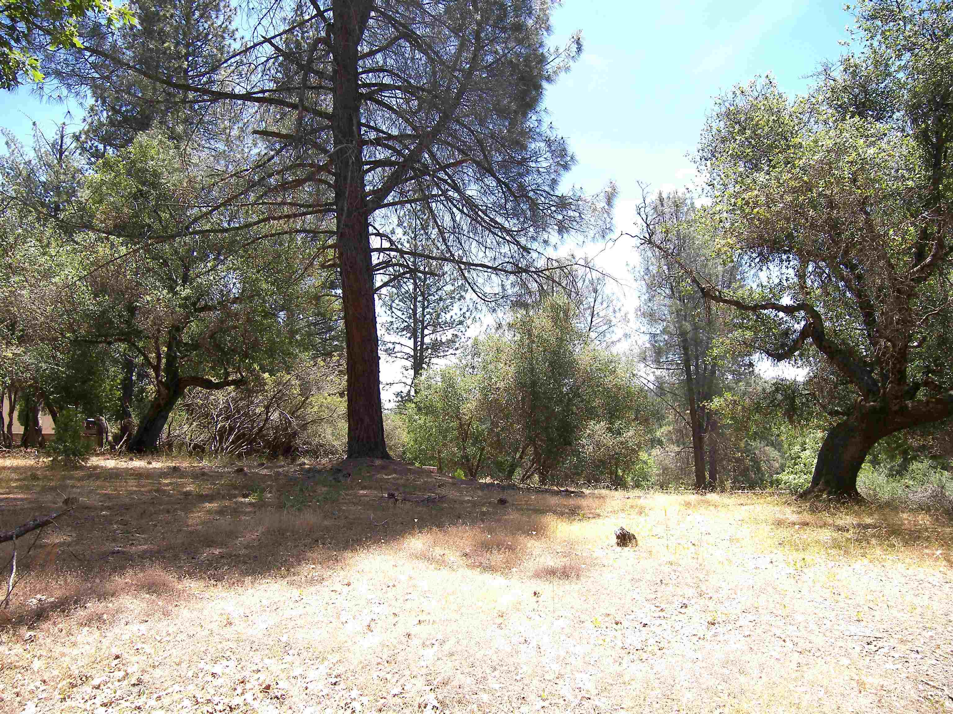 Detail Gallery Image 9 of 11 For Point View Dr., Groveland,  CA 95321 - – Beds | – Baths