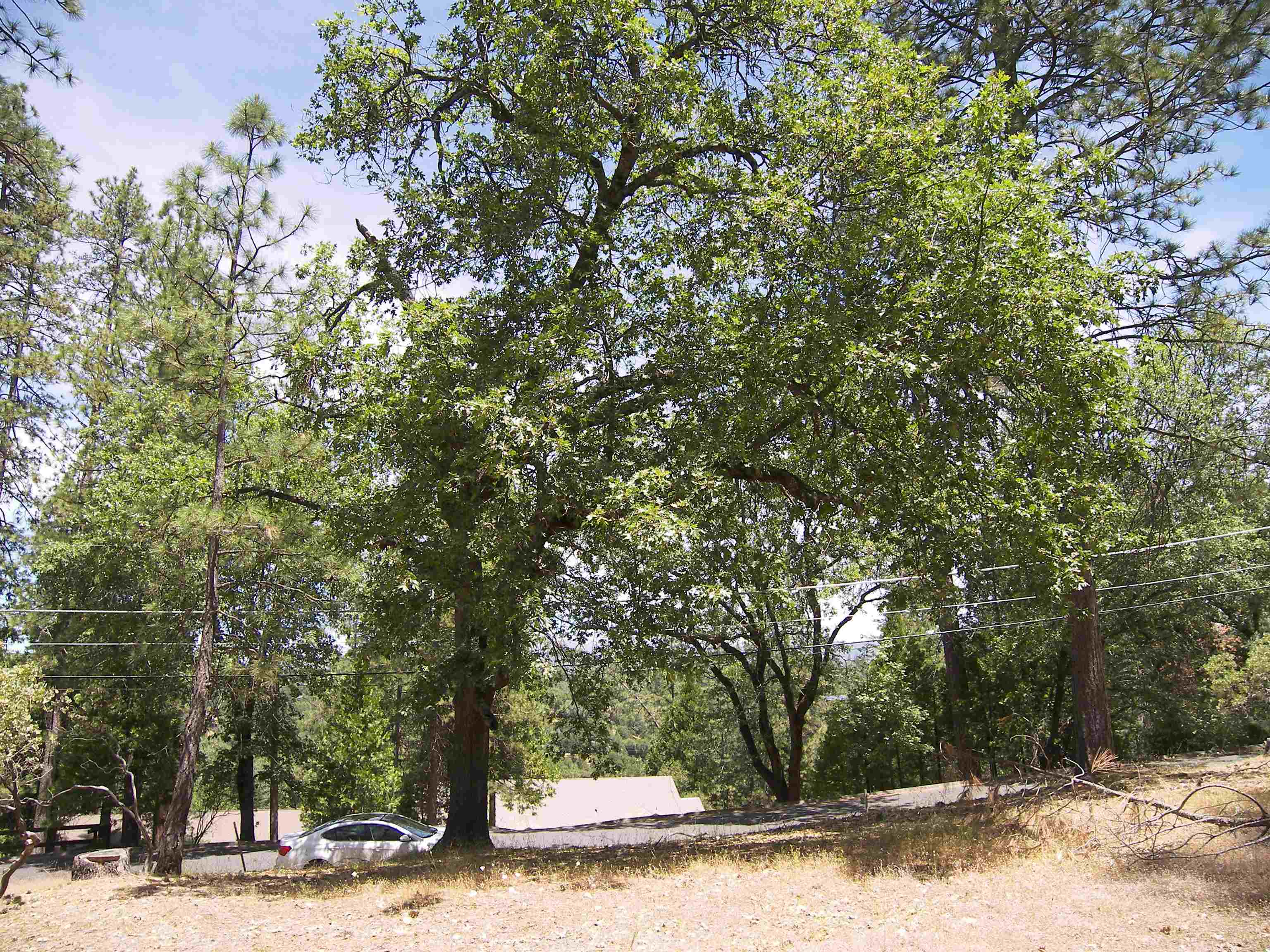 Detail Gallery Image 10 of 11 For Point View Dr., Groveland,  CA 95321 - – Beds | – Baths