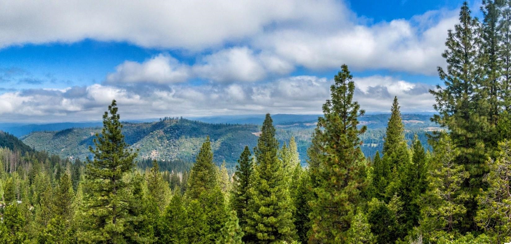 Detail Gallery Image 15 of 15 For , –,  CA 95346 - – Beds | – Baths