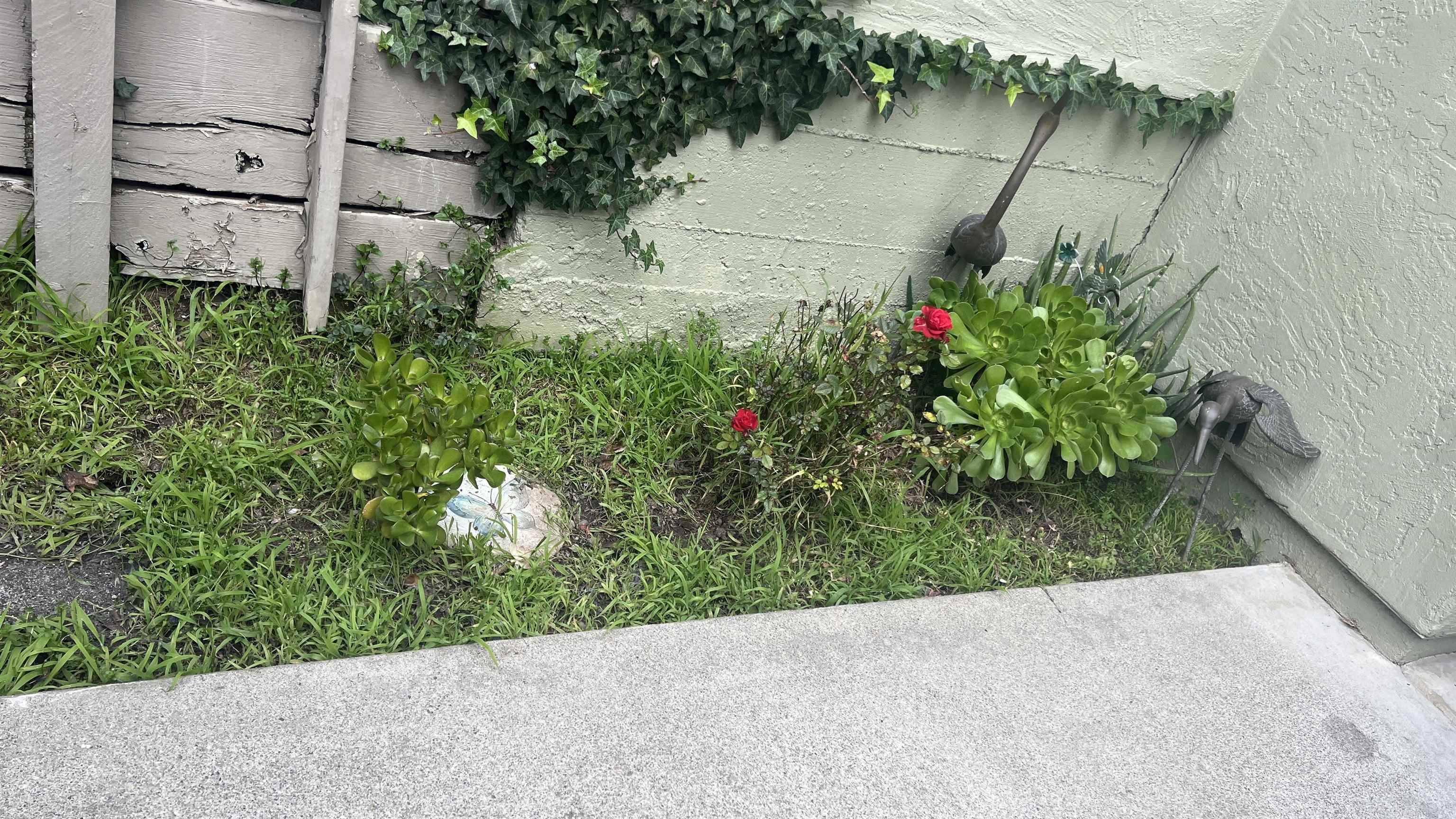 Photo #2: 41123322 Listing: Photo #2