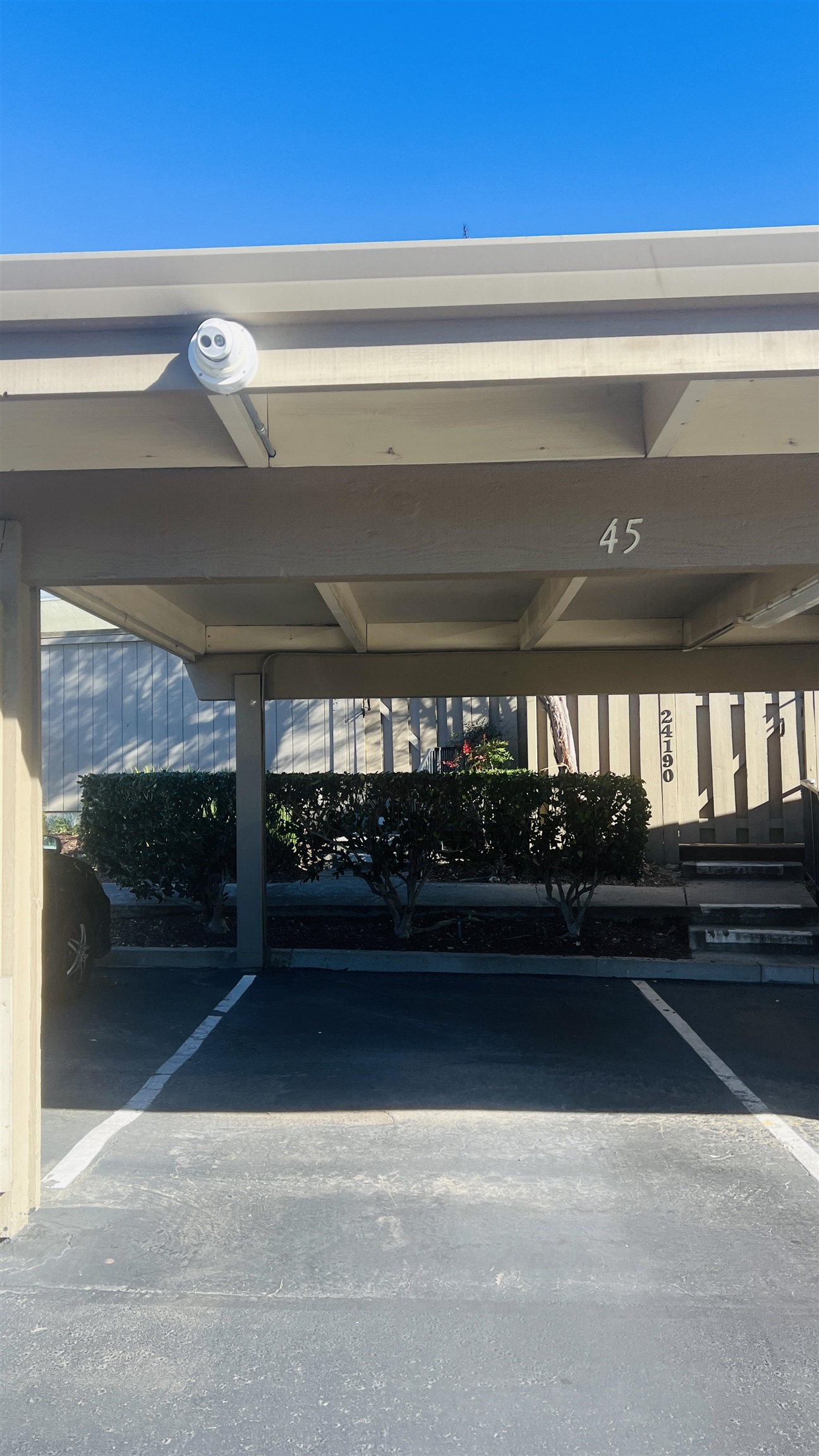 Photo #22: 41123322 Listing: Photo #22