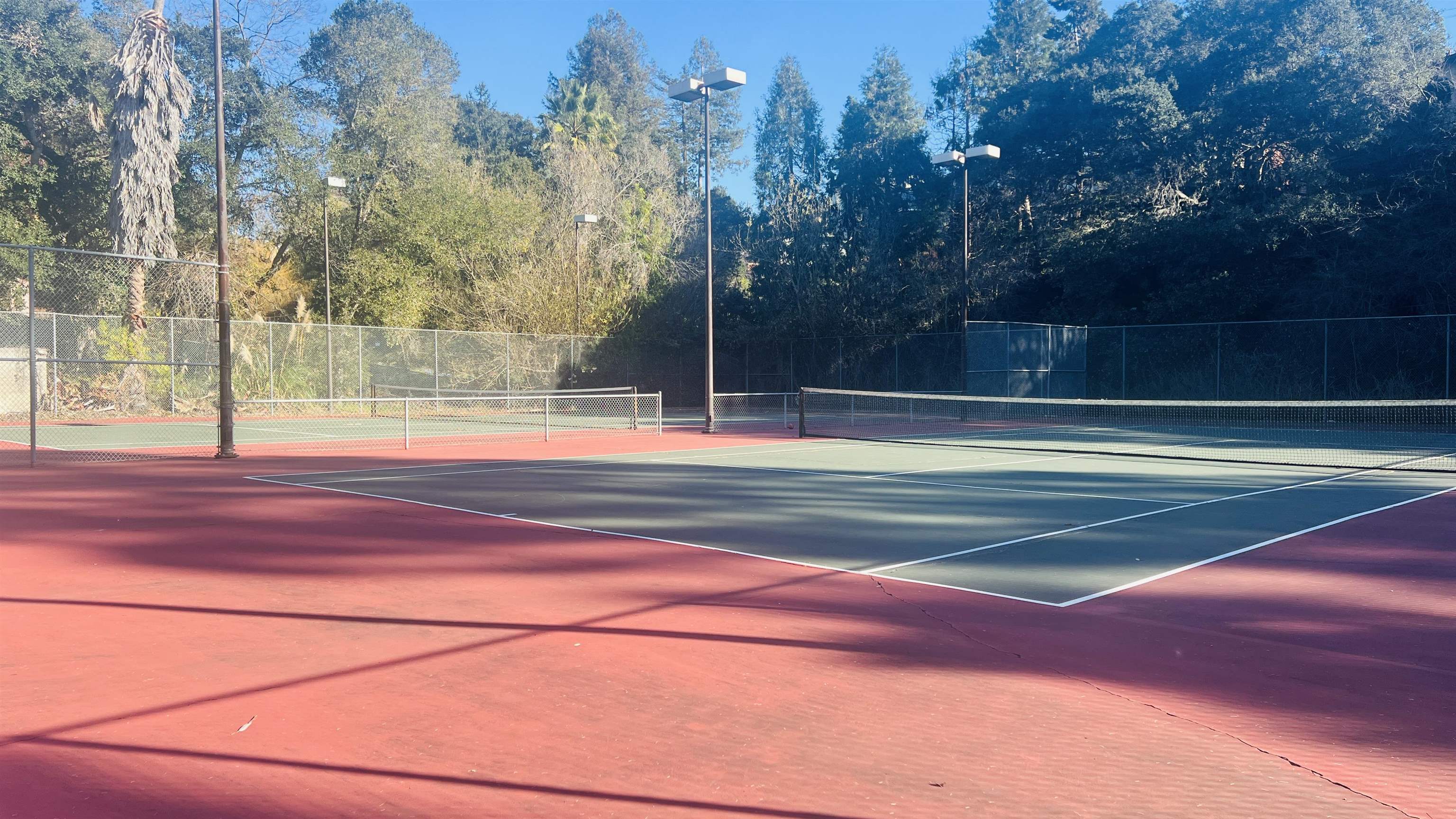 Photo #24: 41123322 Listing: Photo #24