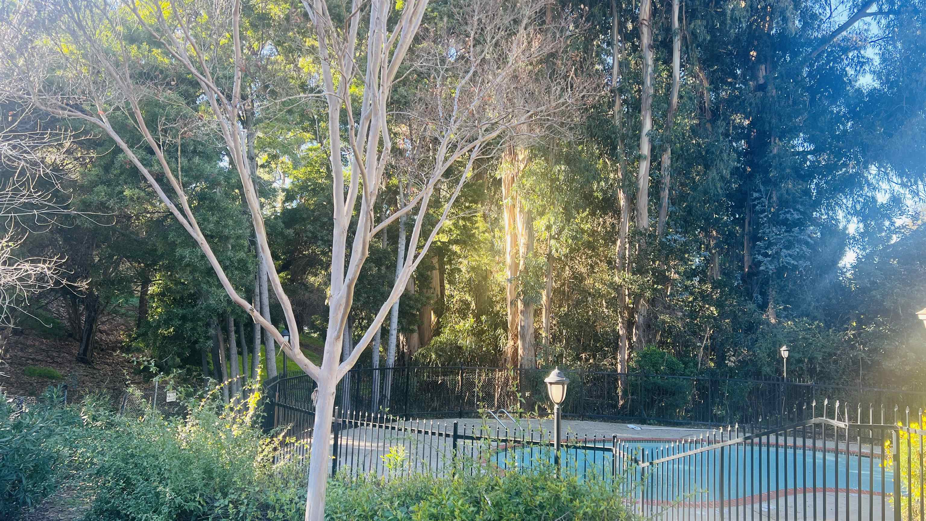 Photo #26: 41123322 Listing: Photo #26