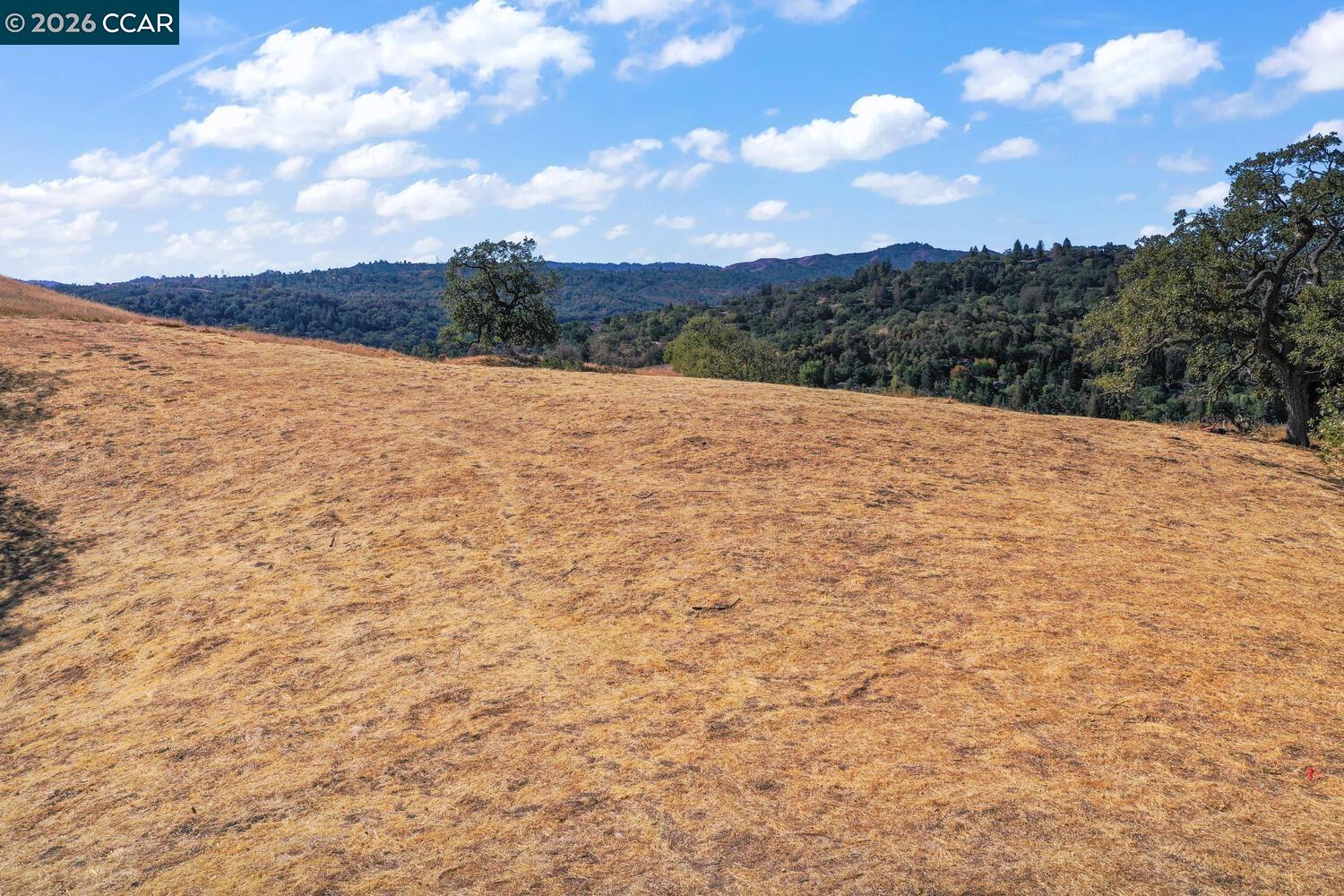 Detail Gallery Image 25 of 38 For 1240 Monticello Rd., Lafayette,  CA 94549 - – Beds | – Baths