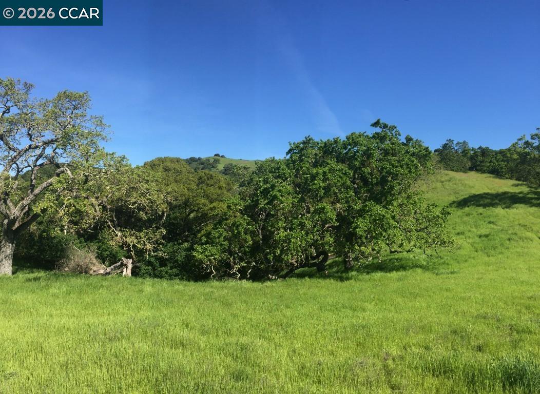 Detail Gallery Image 27 of 38 For 1240 Monticello Rd., Lafayette,  CA 94549 - – Beds | – Baths