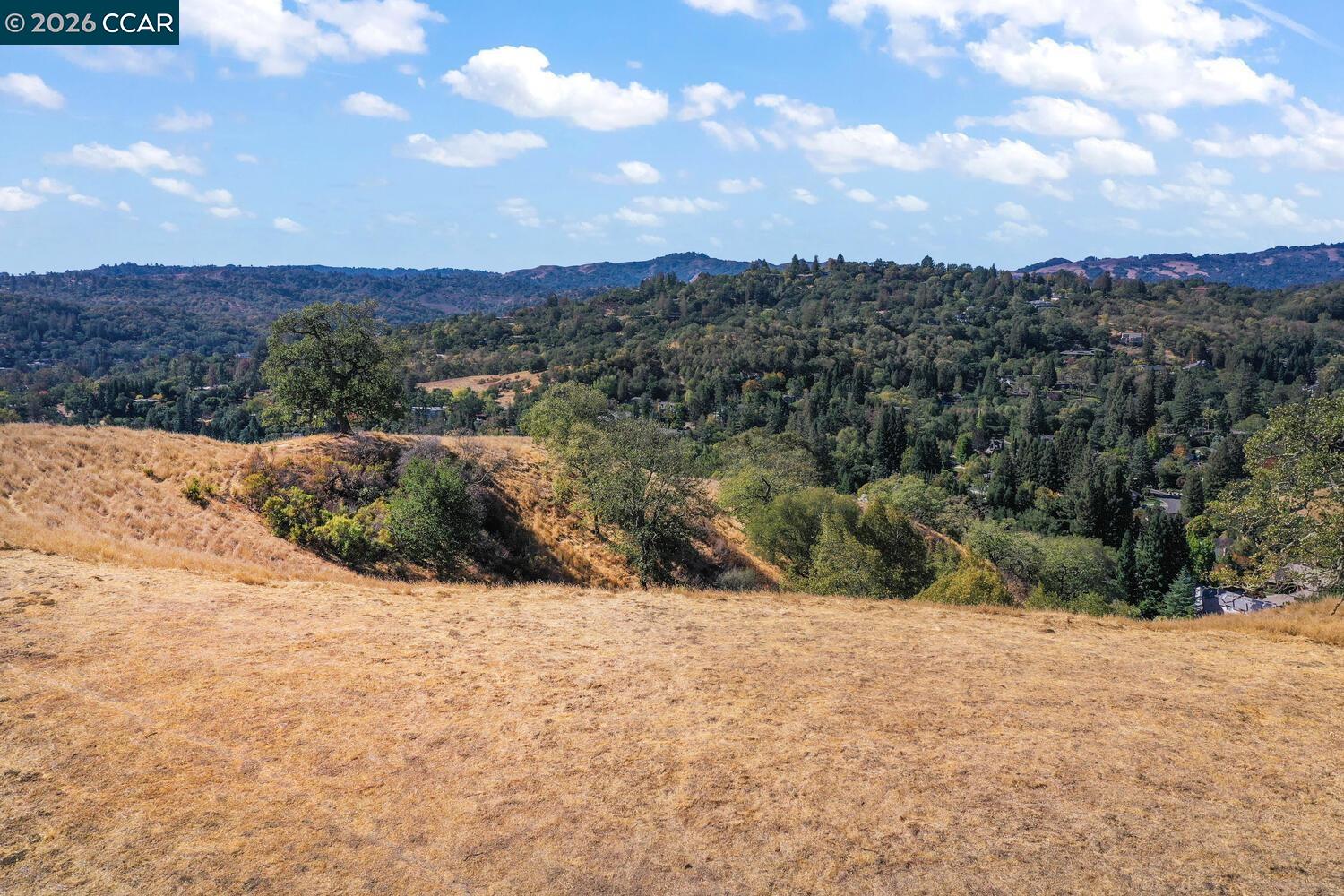 Detail Gallery Image 37 of 38 For 1240 Monticello Rd., Lafayette,  CA 94549 - – Beds | – Baths