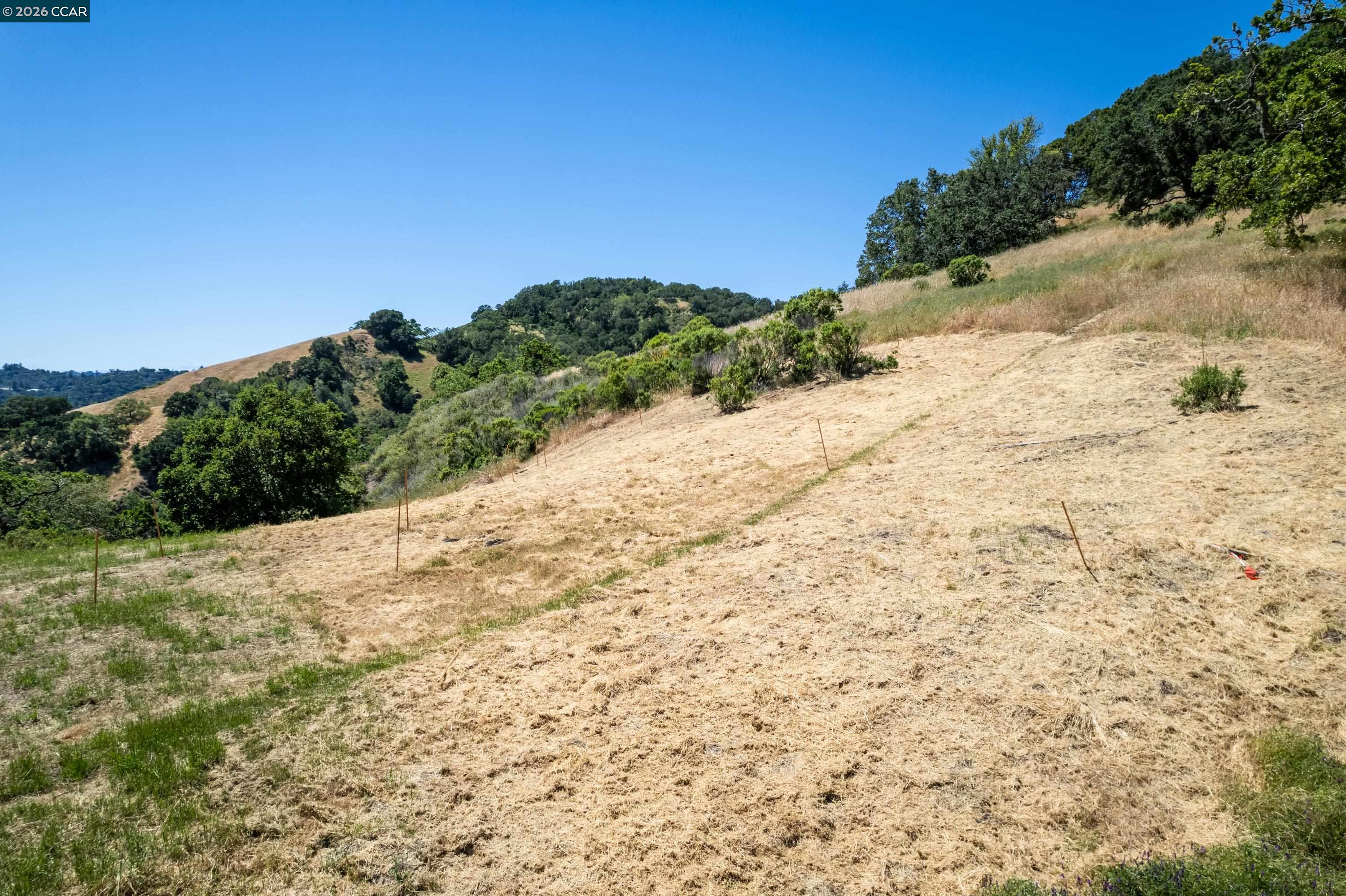 Detail Gallery Image 19 of 33 For 0 Monticello Rd., Lafayette,  CA 94549 - – Beds | – Baths