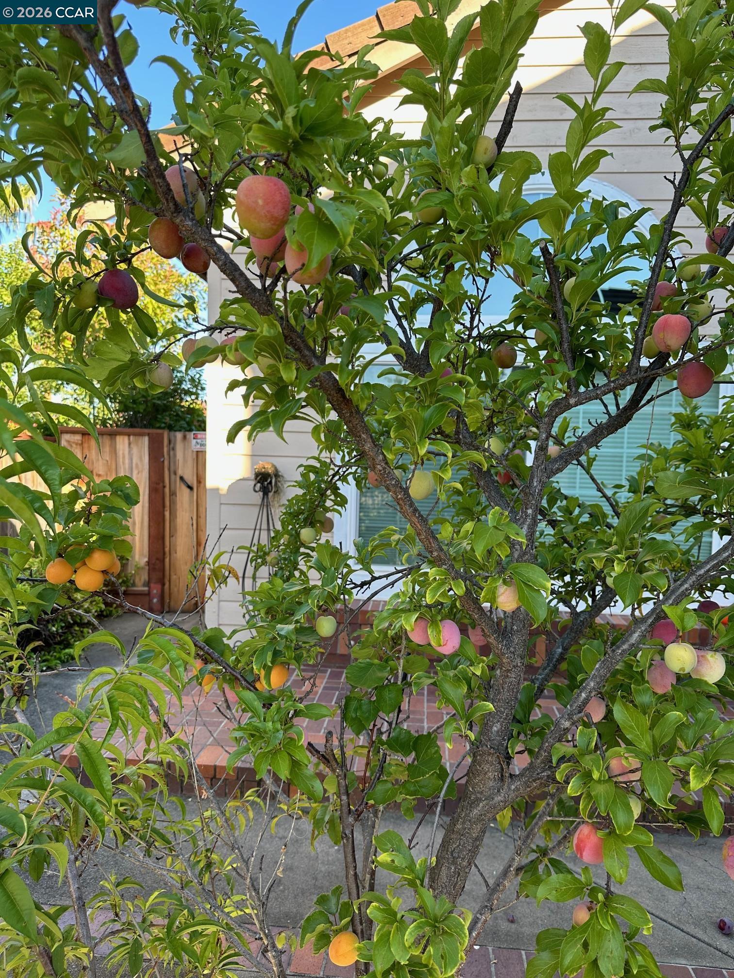 Detail Gallery Image 27 of 30 For 243 Viewpoint Dr, Danville,  CA 94506 - 5 Beds | 3 Baths