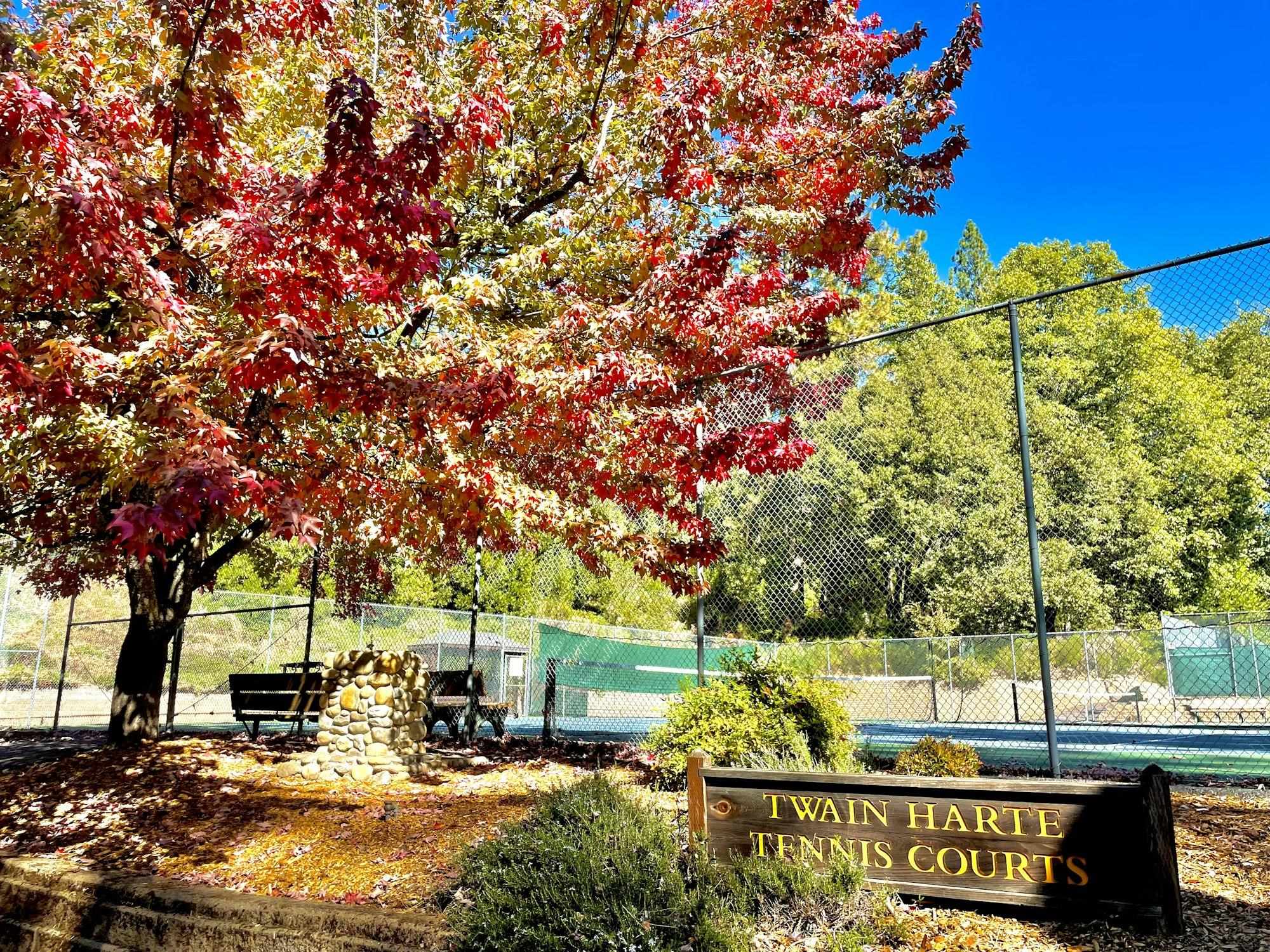 Detail Gallery Image 54 of 60 For 23343 Tanager Dr, Twain Harte,  CA 95383 - 3 Beds | 2 Baths