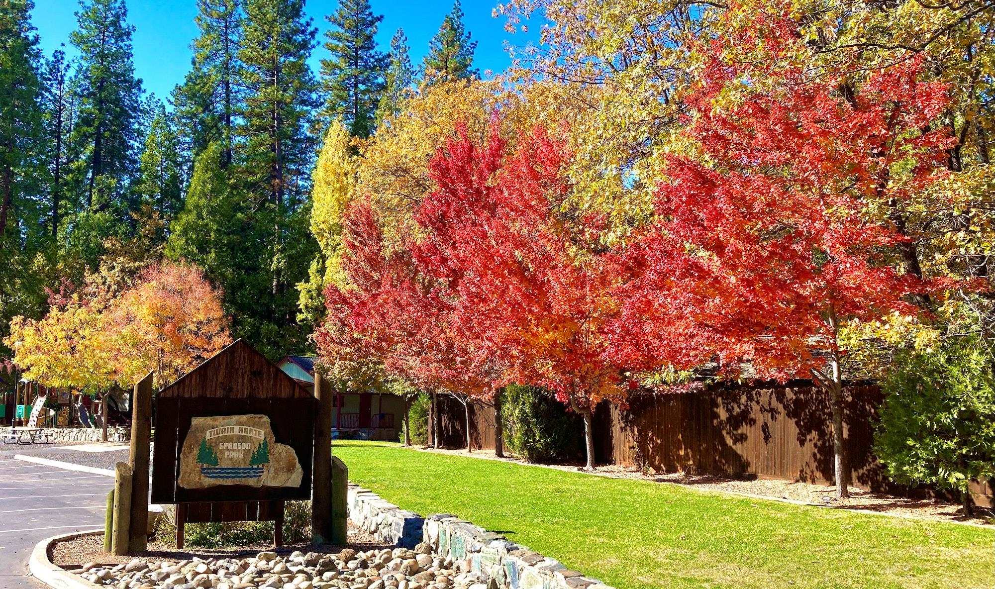 Detail Gallery Image 56 of 60 For 23343 Tanager Dr, Twain Harte,  CA 95383 - 3 Beds | 2 Baths