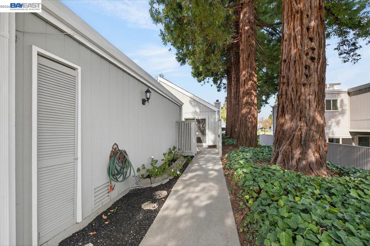 Photo #4: 41123382 Listing: Photo #4