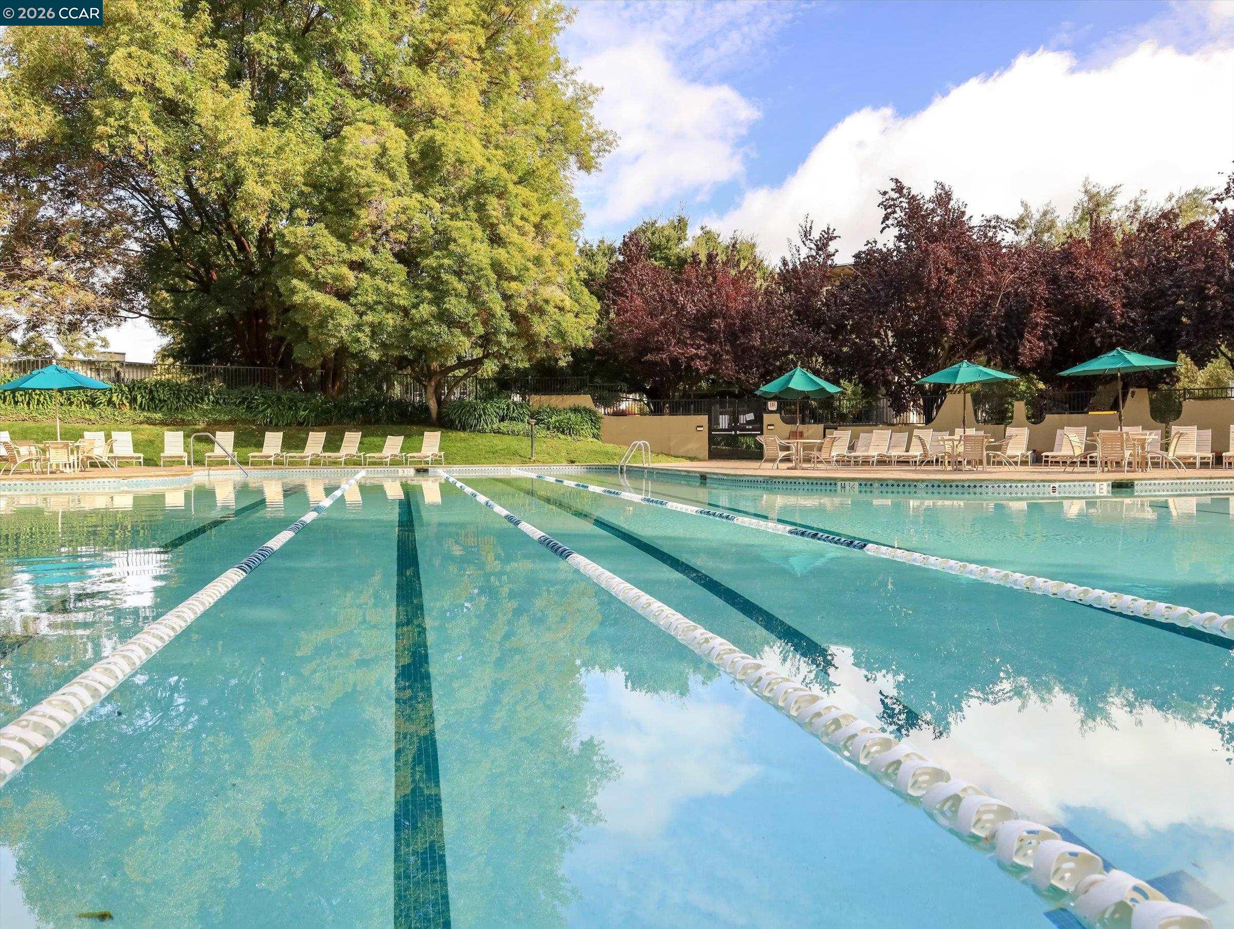 Detail Gallery Image 27 of 30 For 820 N Delaware St #215,  San Mateo,  CA 94401 - 1 Beds | 1 Baths