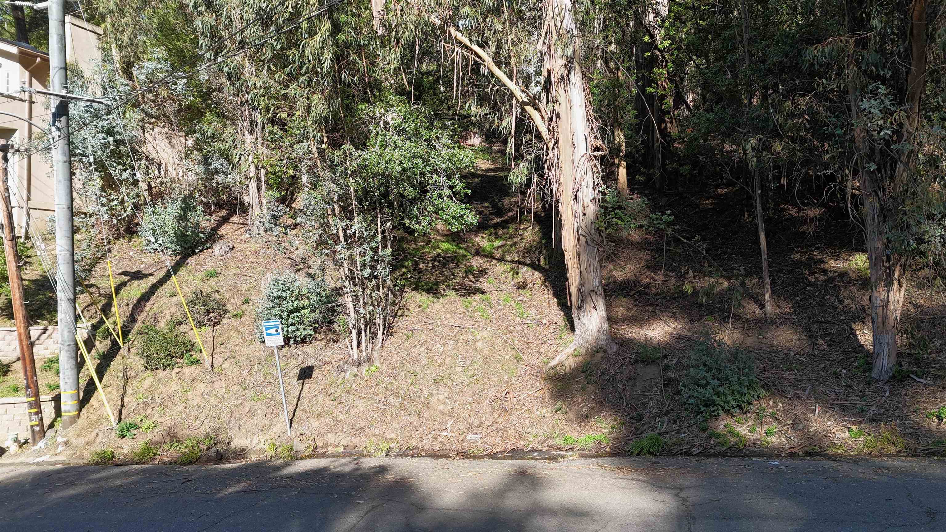 Detail Gallery Image 15 of 16 For 6698 Moore Dr, Oakland,  CA 94611 - – Beds | – Baths