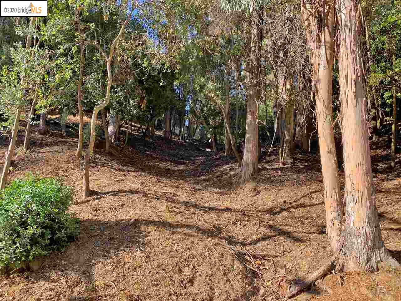 Detail Gallery Image 6 of 16 For 6698 Moore Dr, Oakland,  CA 94611 - – Beds | – Baths