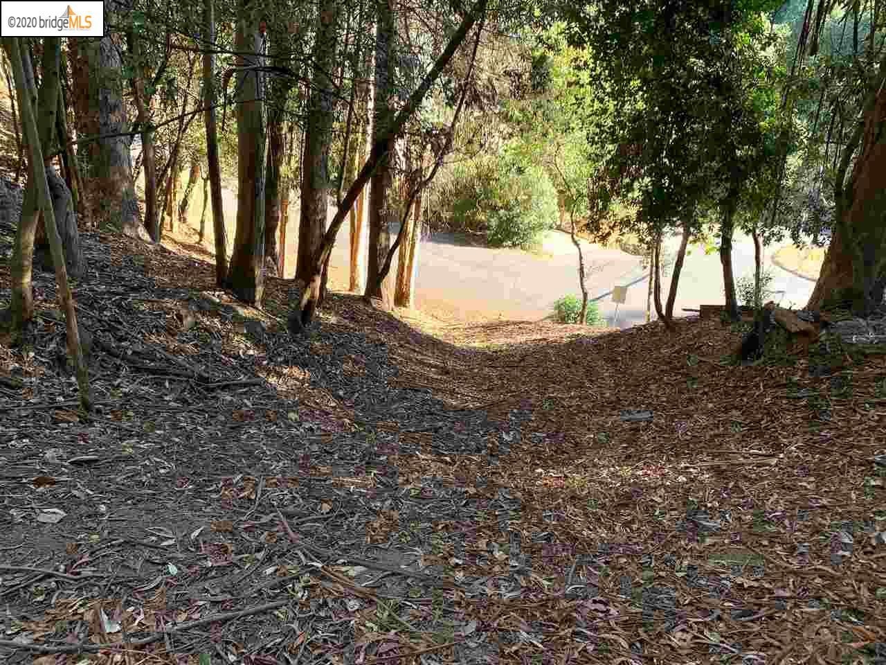 Detail Gallery Image 9 of 16 For 6698 Moore Dr, Oakland,  CA 94611 - – Beds | – Baths