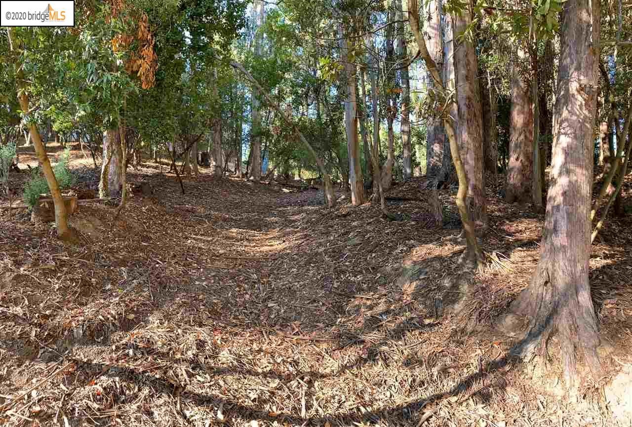 Detail Gallery Image 10 of 16 For 6698 Moore Dr, Oakland,  CA 94611 - – Beds | – Baths