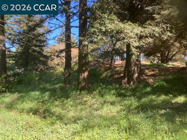 Detail Gallery Image 12 of 24 For 0 Skyline Blvd., Oakland,  CA 94619 - – Beds | – Baths