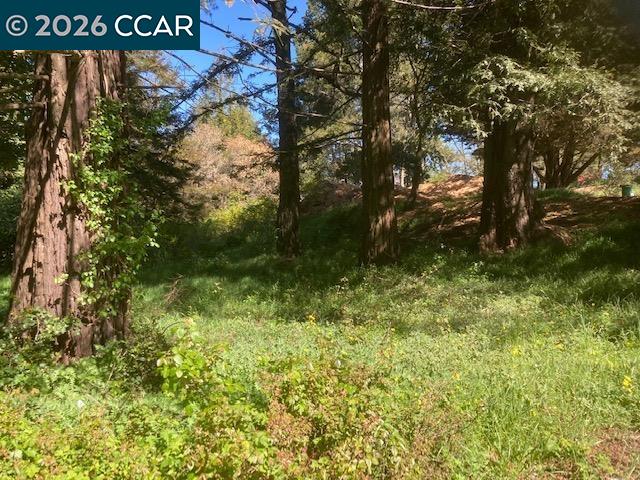 Detail Gallery Image 14 of 24 For 0 Skyline Blvd., Oakland,  CA 94619 - – Beds | – Baths