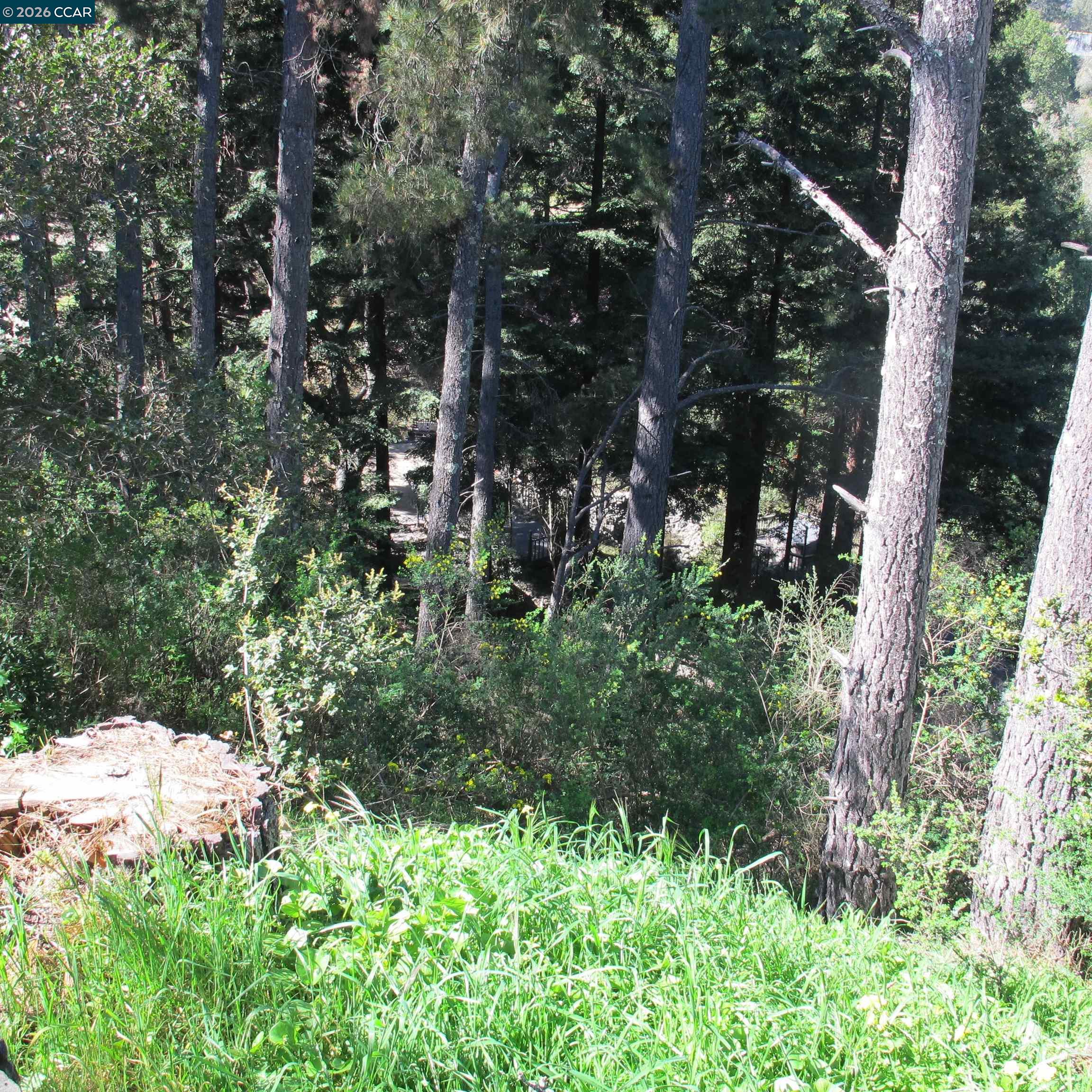 Detail Gallery Image 16 of 24 For 0 Skyline Blvd., Oakland,  CA 94619 - – Beds | – Baths