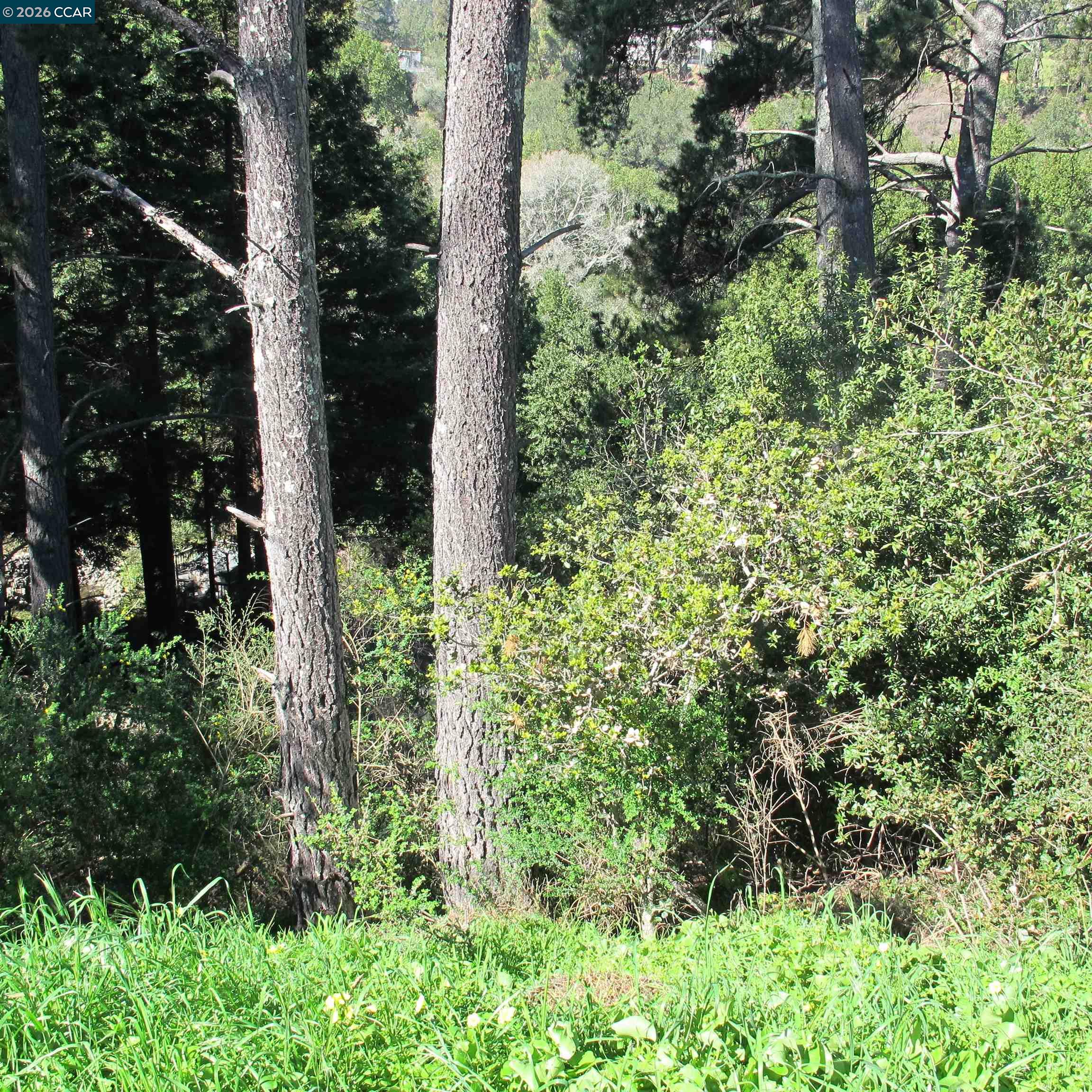 Detail Gallery Image 17 of 24 For 0 Skyline Blvd., Oakland,  CA 94619 - – Beds | – Baths