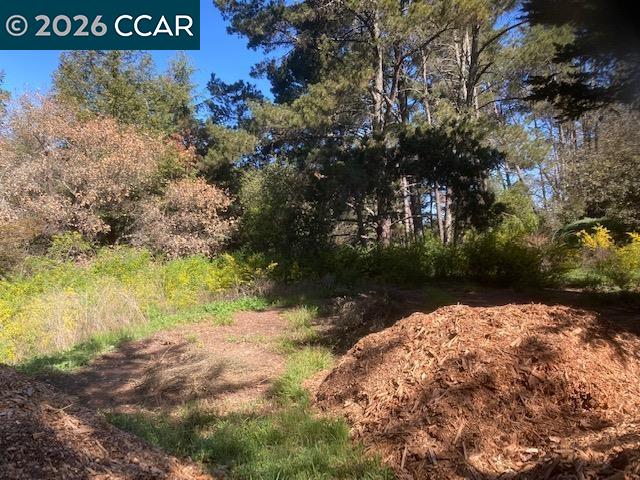 Detail Gallery Image 9 of 24 For 0 Skyline Blvd., Oakland,  CA 94619 - – Beds | – Baths