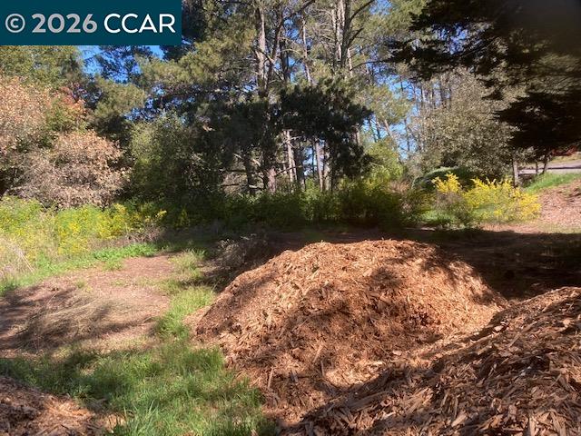 Detail Gallery Image 10 of 24 For 0 Skyline Blvd., Oakland,  CA 94619 - – Beds | – Baths