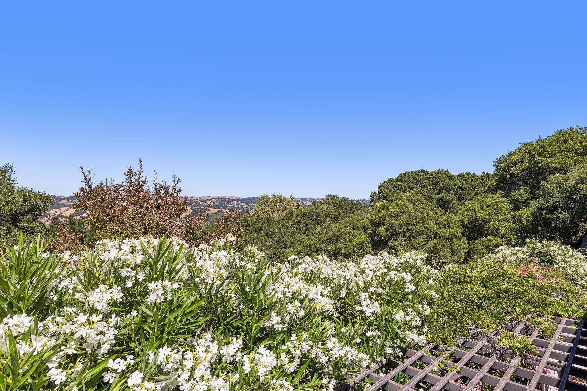 Detail Gallery Image 48 of 59 For 271 Monte Vista Ridge, Orinda,  CA 94563 - 5 Beds | 4/1 Baths