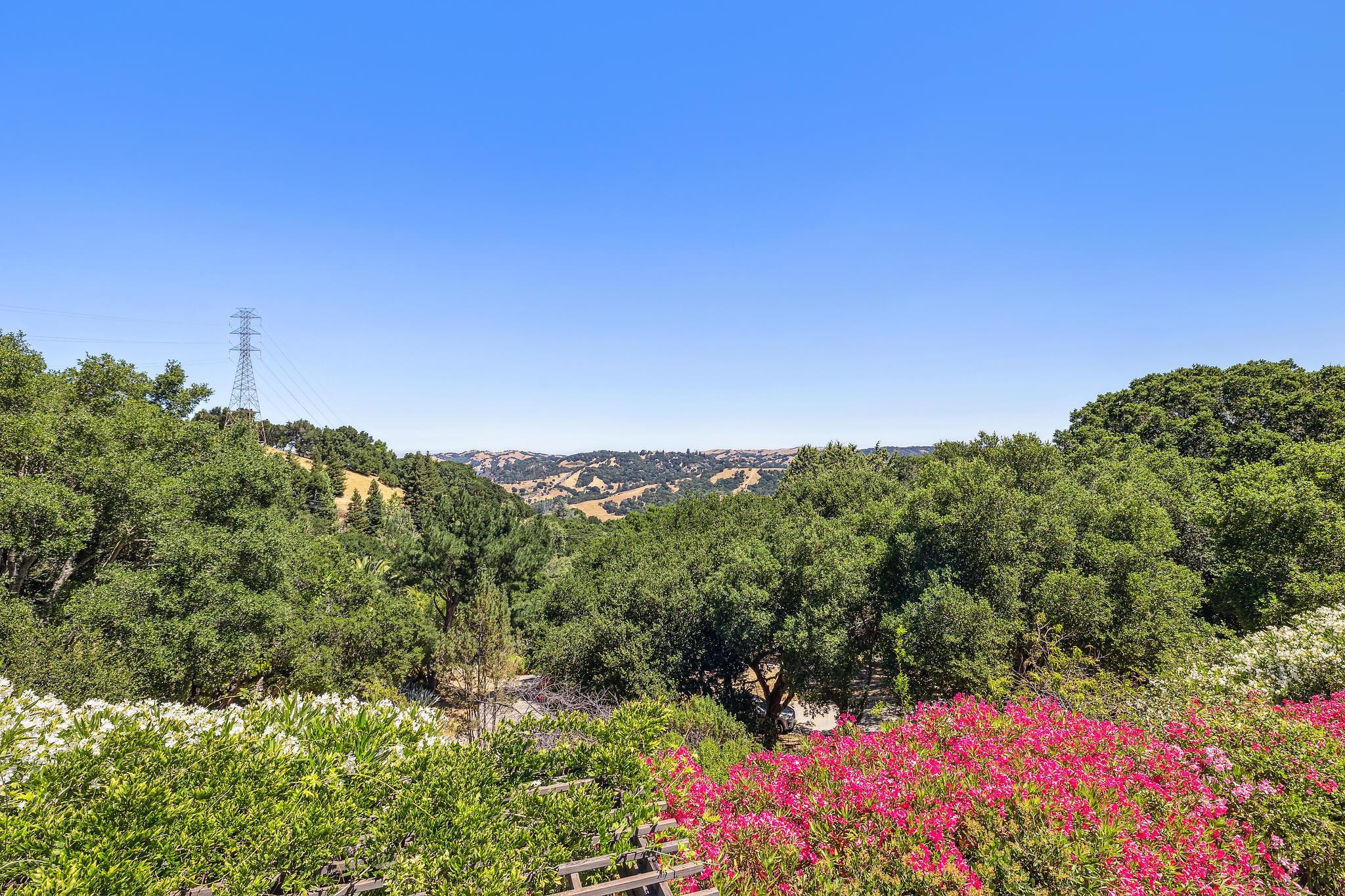 Detail Gallery Image 49 of 59 For 271 Monte Vista Ridge, Orinda,  CA 94563 - 5 Beds | 4/1 Baths