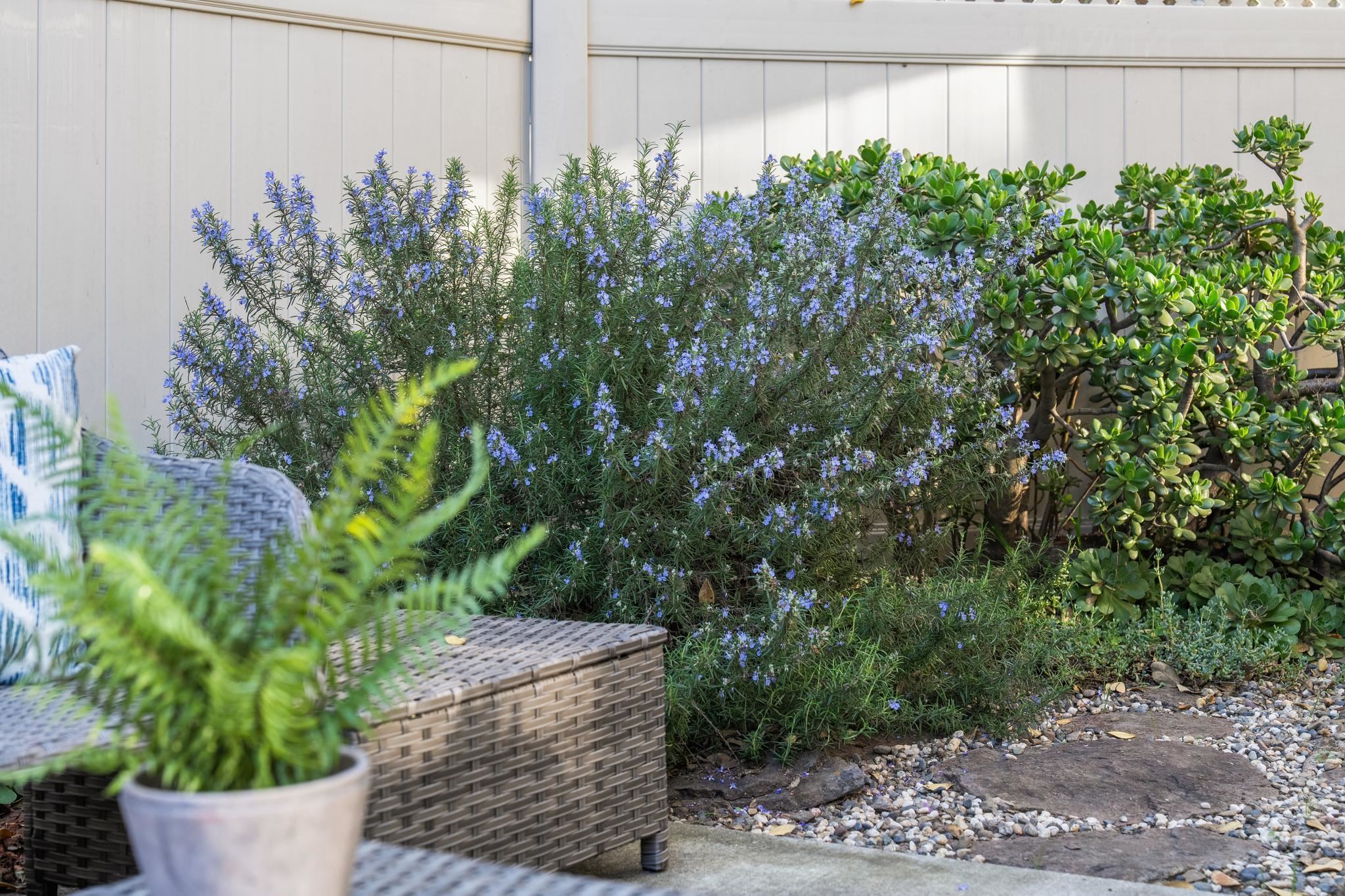 Photo #15: 41123453 Listing: Photo #15